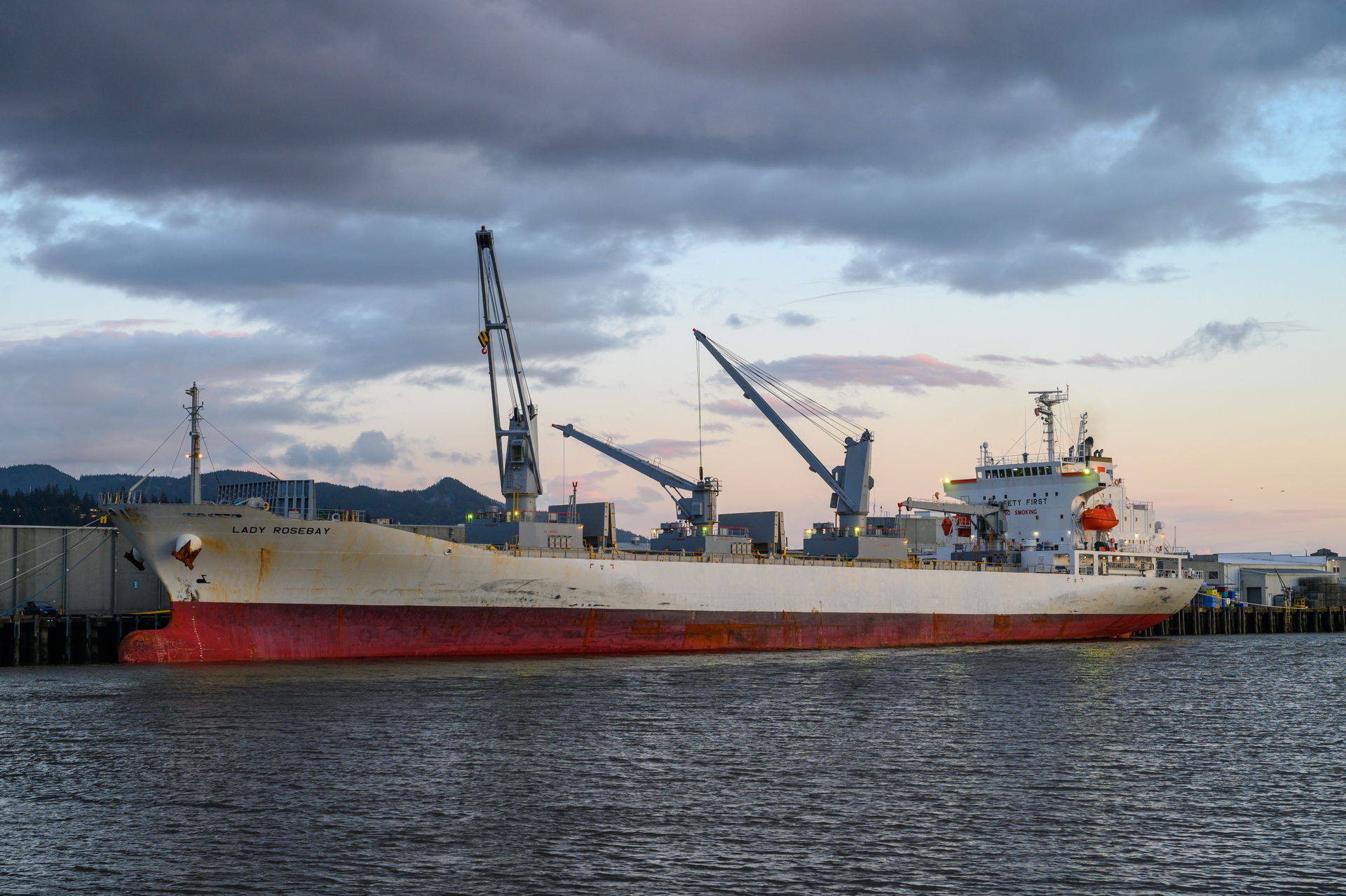 Refrigerated cargo ship (reefer), LADY ROSEBAY - IMO: 9412751, …