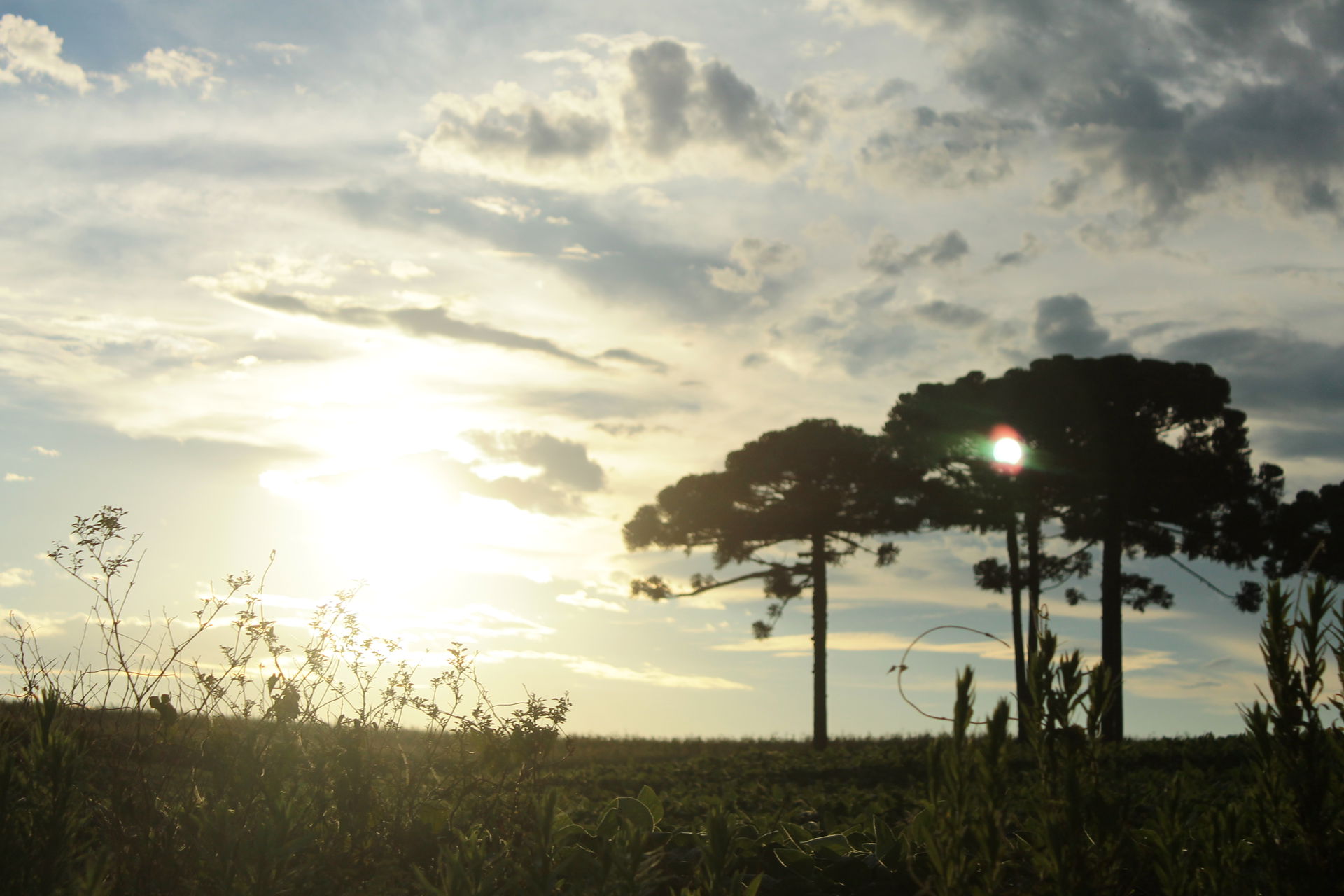 Área rural da cidade de Contenda no Paraná
