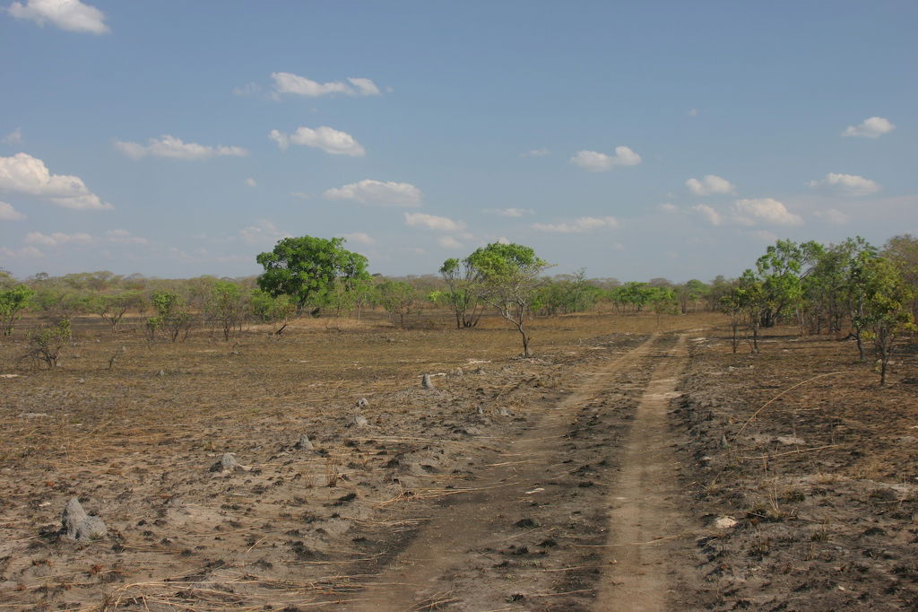 Dambo, Kasungu National Park
