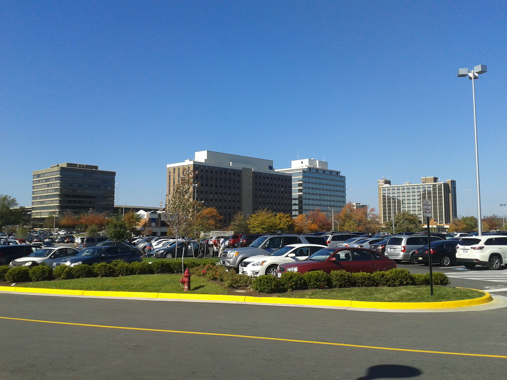 Springfield view 4