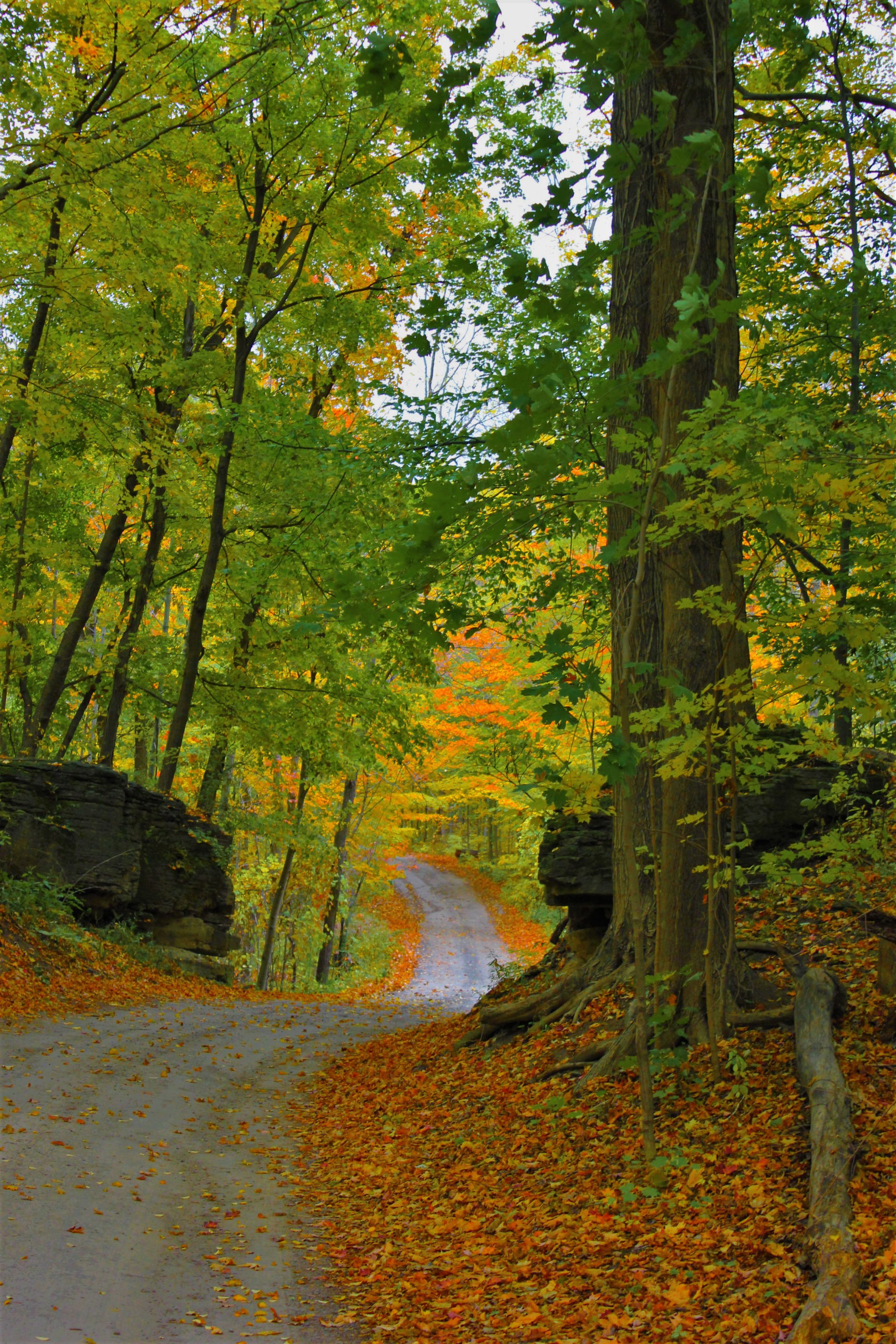 Haldimand County, ON, Canada