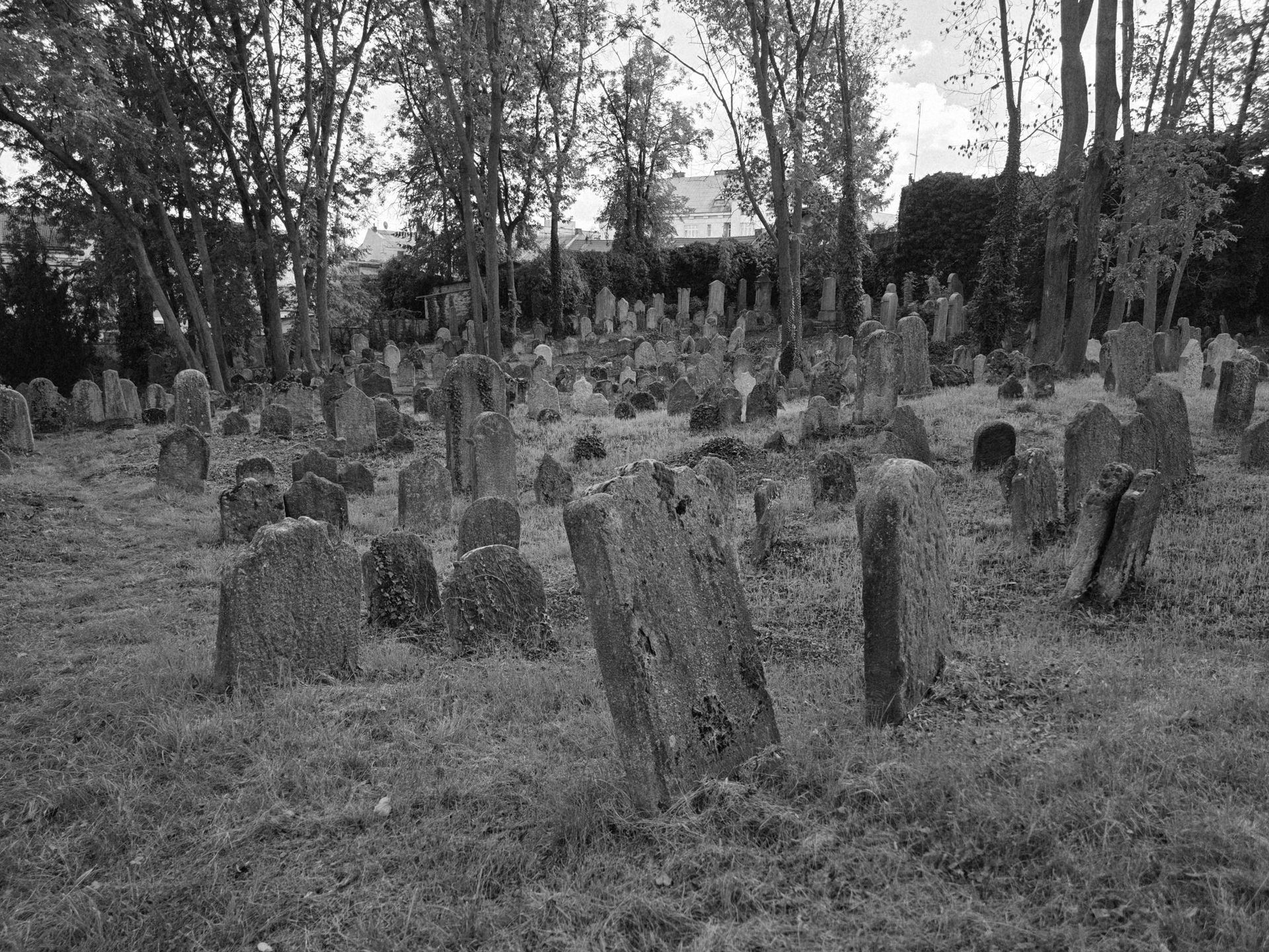 The Old Jewish Cemetery in Kolín (Bohemia) in autumn 2025