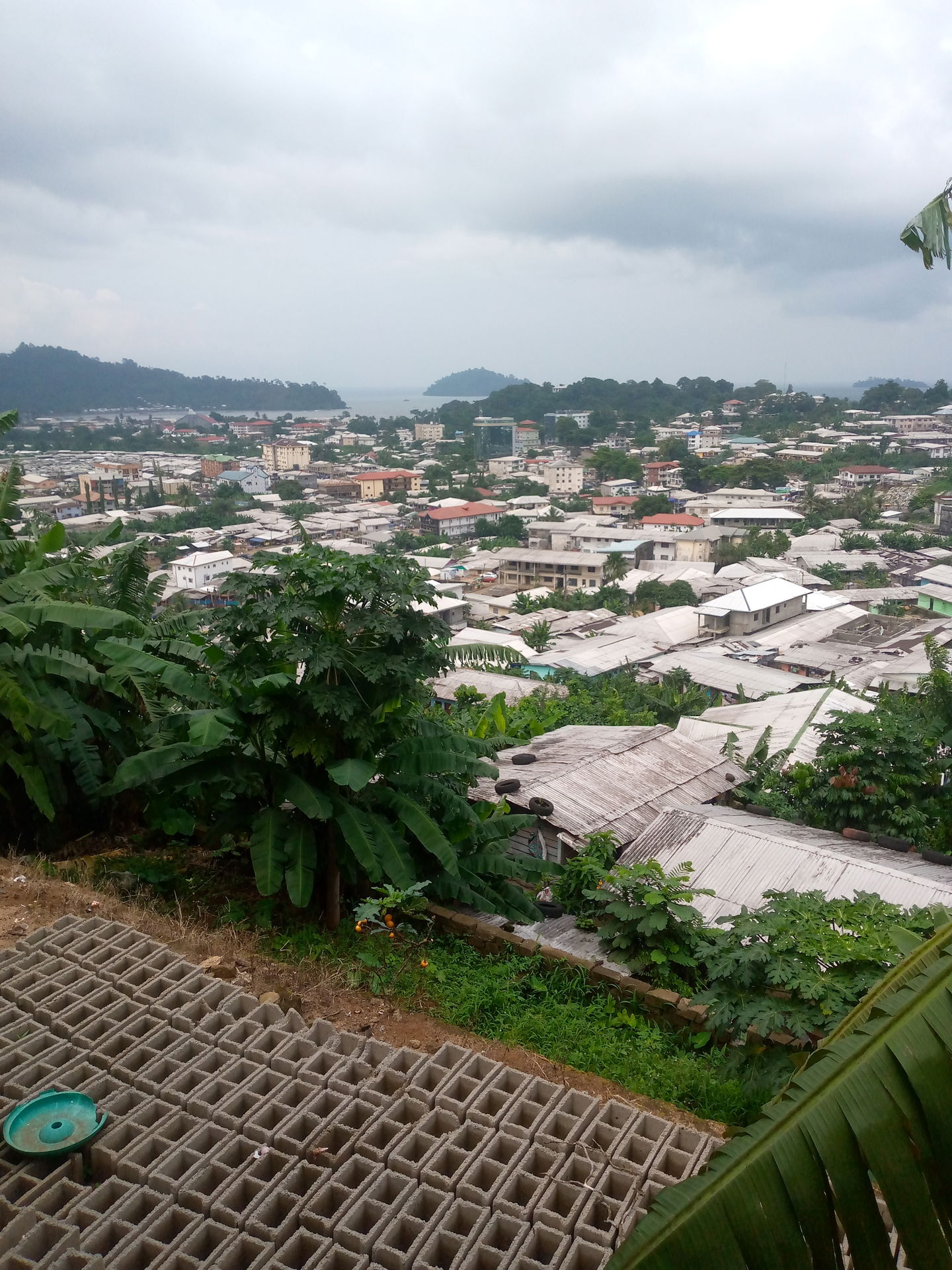 Limbe