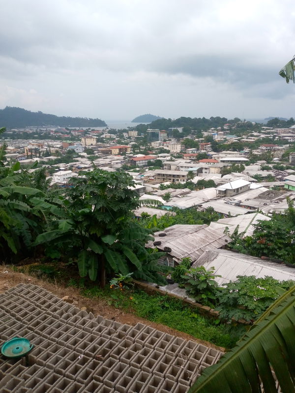 Limbe