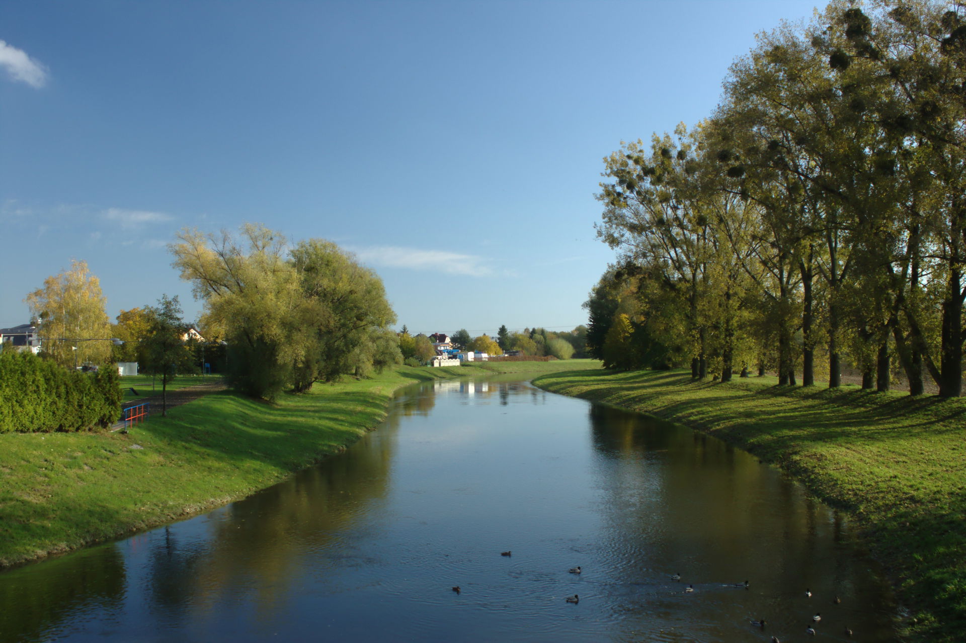 Opava River between Kravaře and Dvořisko, Moravian-Silesian Reg…