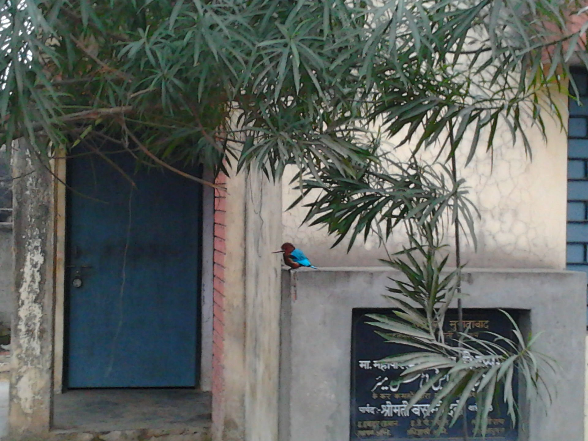 near by chaudhery charan chowk,moradabad