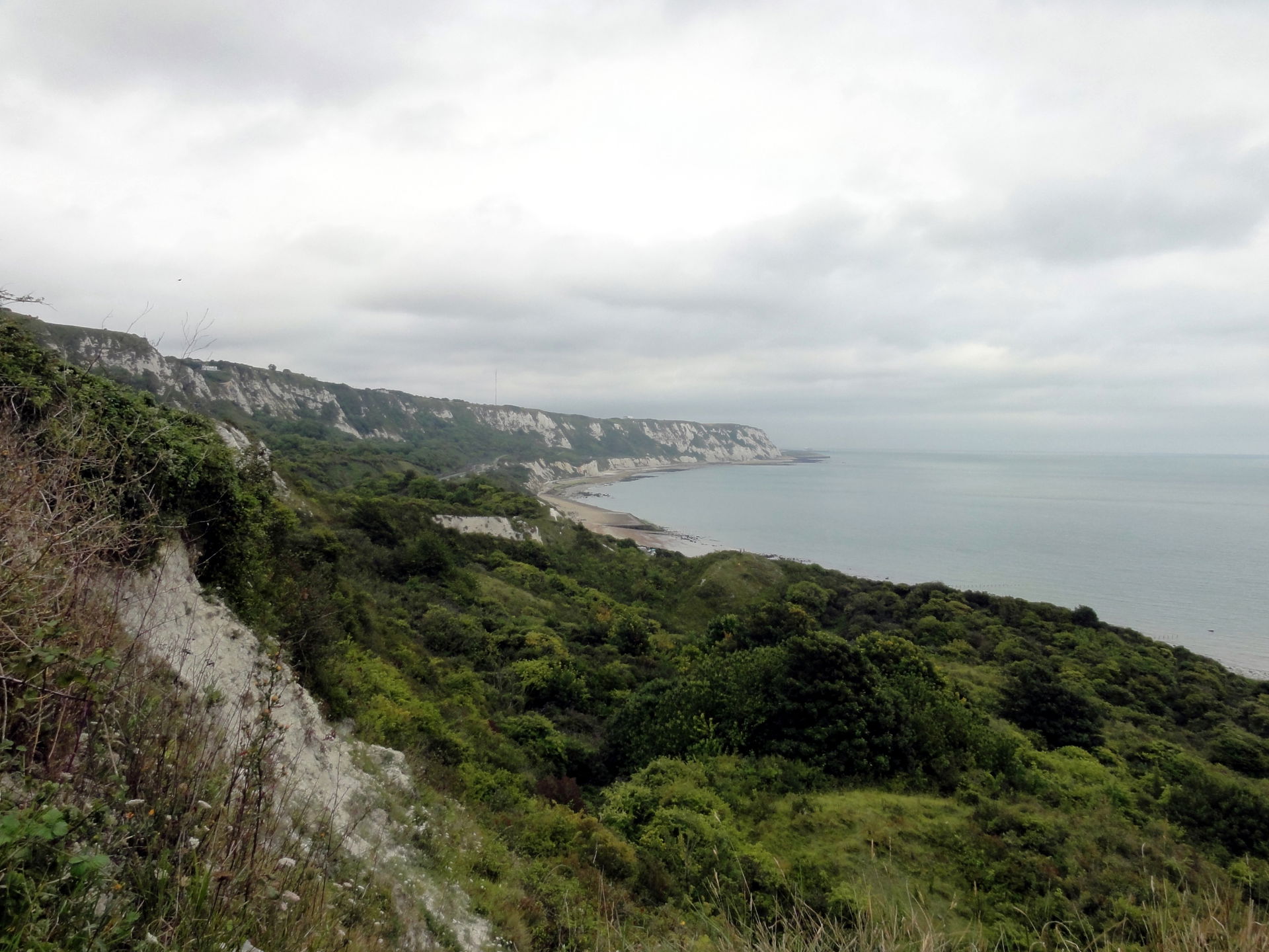Folkestone, Folkestone Warren
