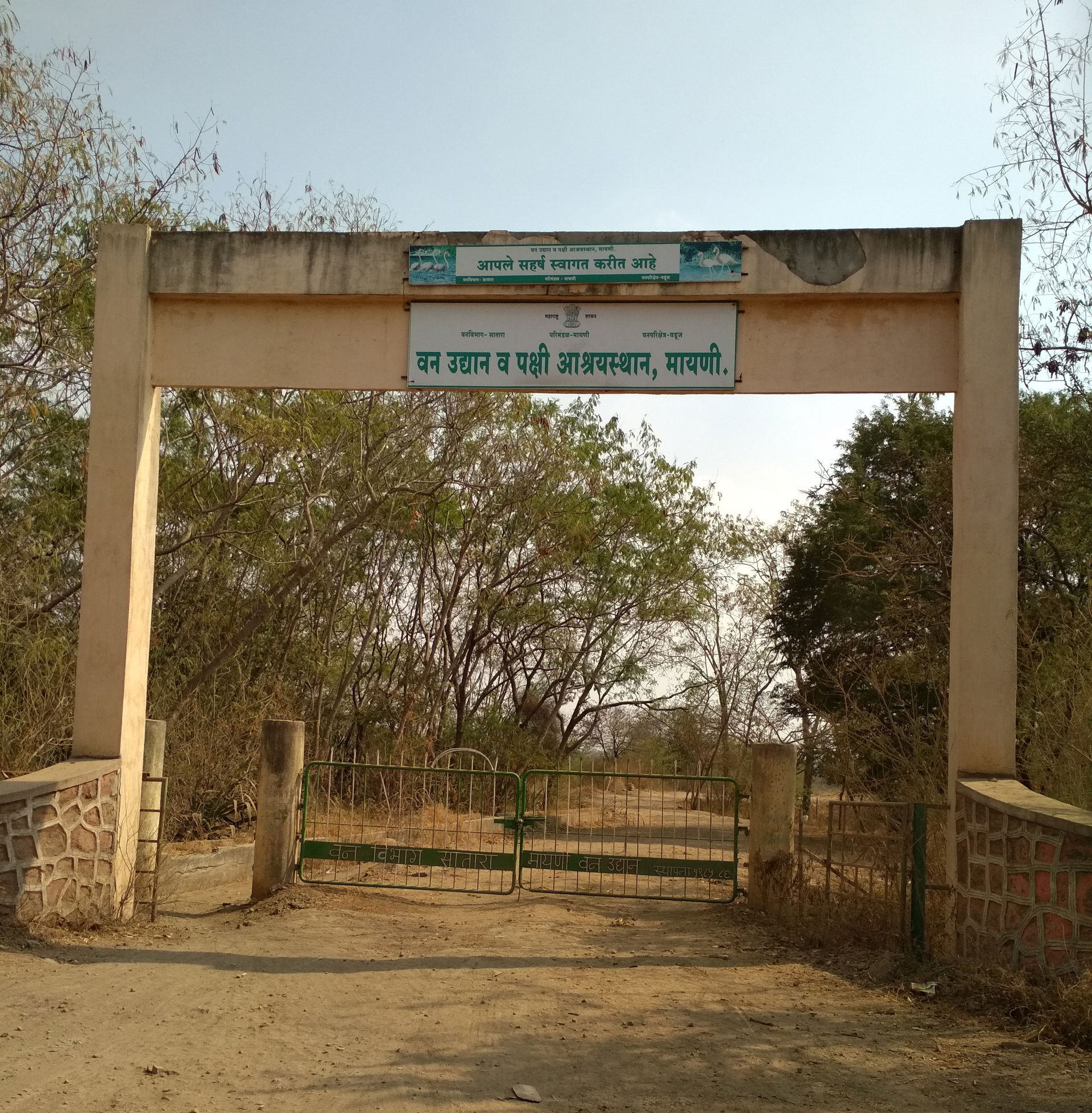 Mayani Bird Sanctuary, Mayani
