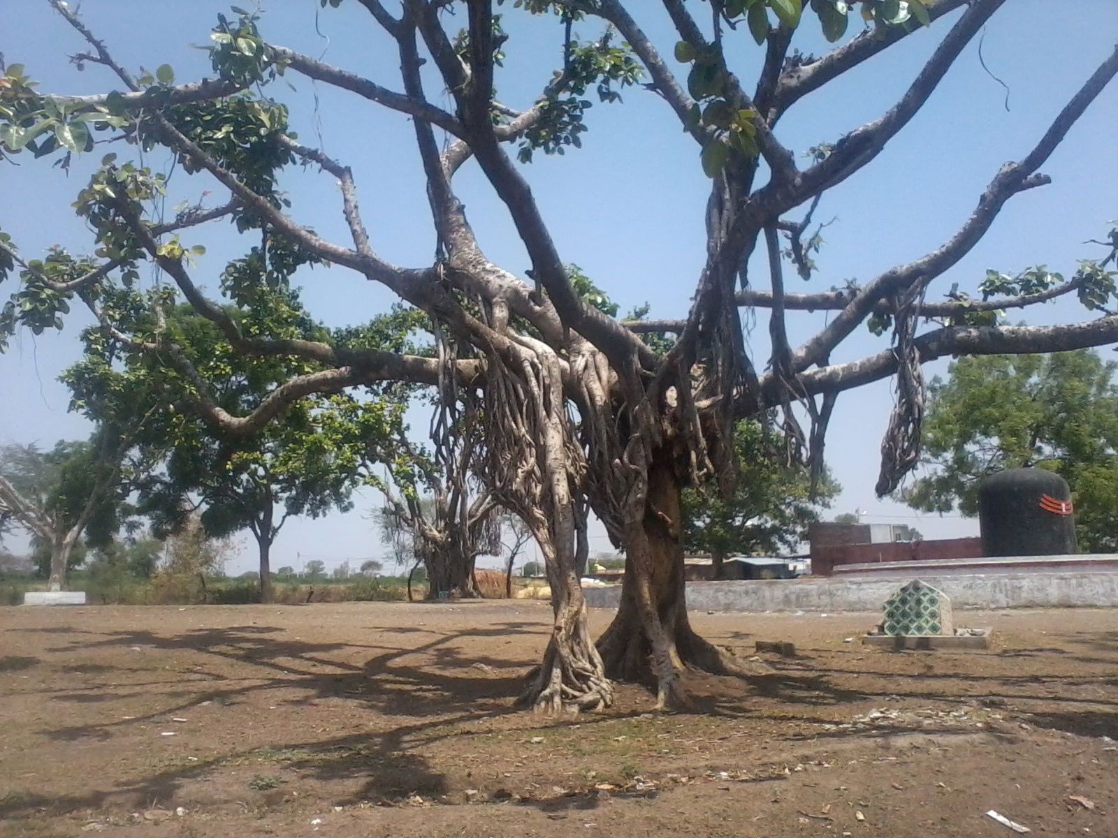ratlam 9981439961