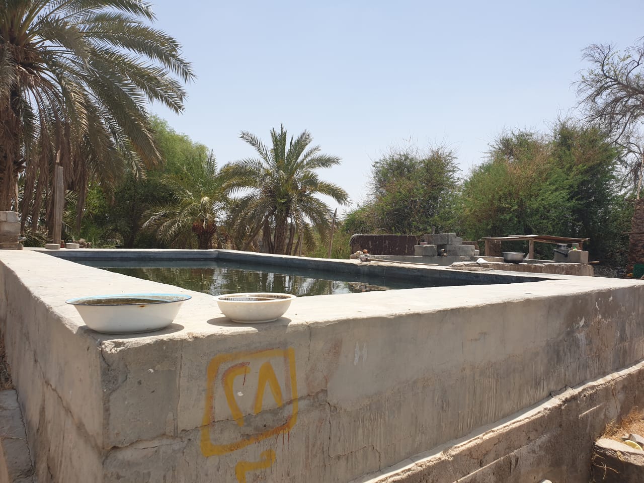 حوض ماء في إحدى مزراع صعراء القديمة