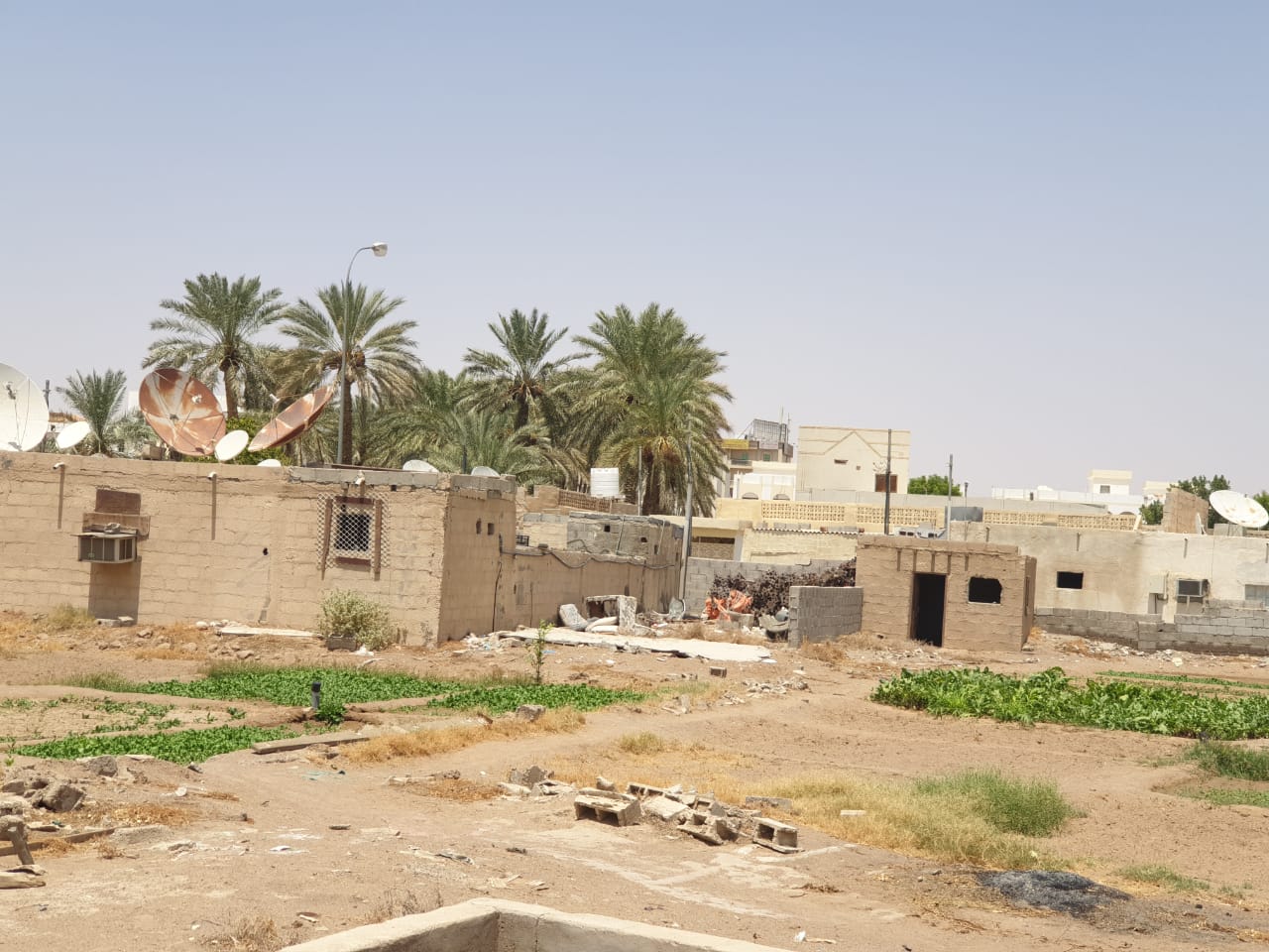 منظر من داخل إحدى مزارع صعراء القديمة المطلة على المنازل