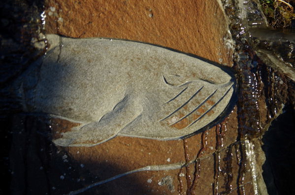 Qaqortoq