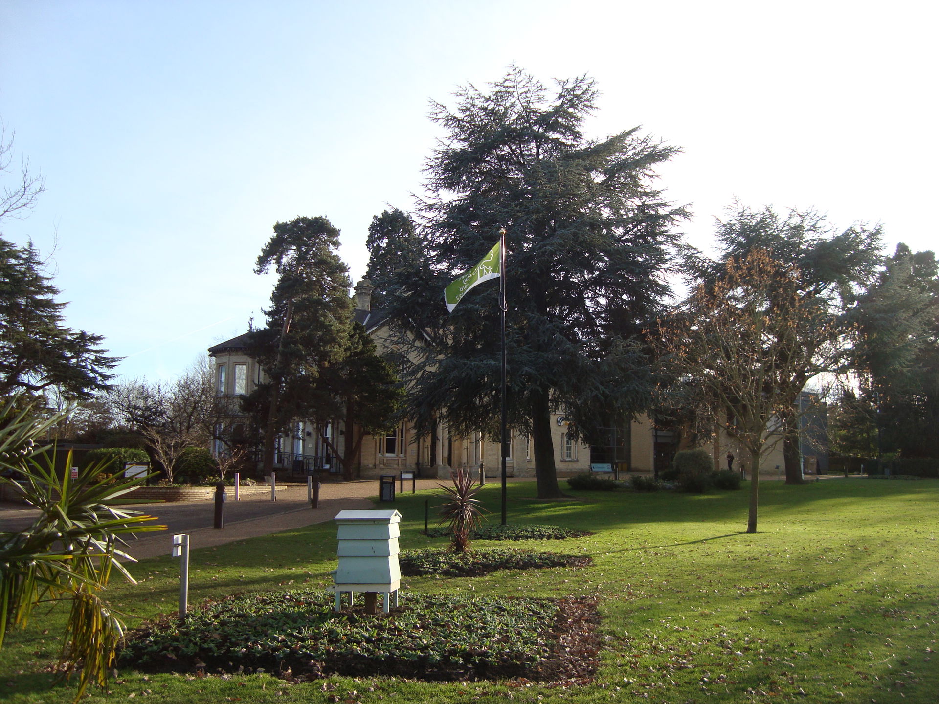 Chelmsford City Museum