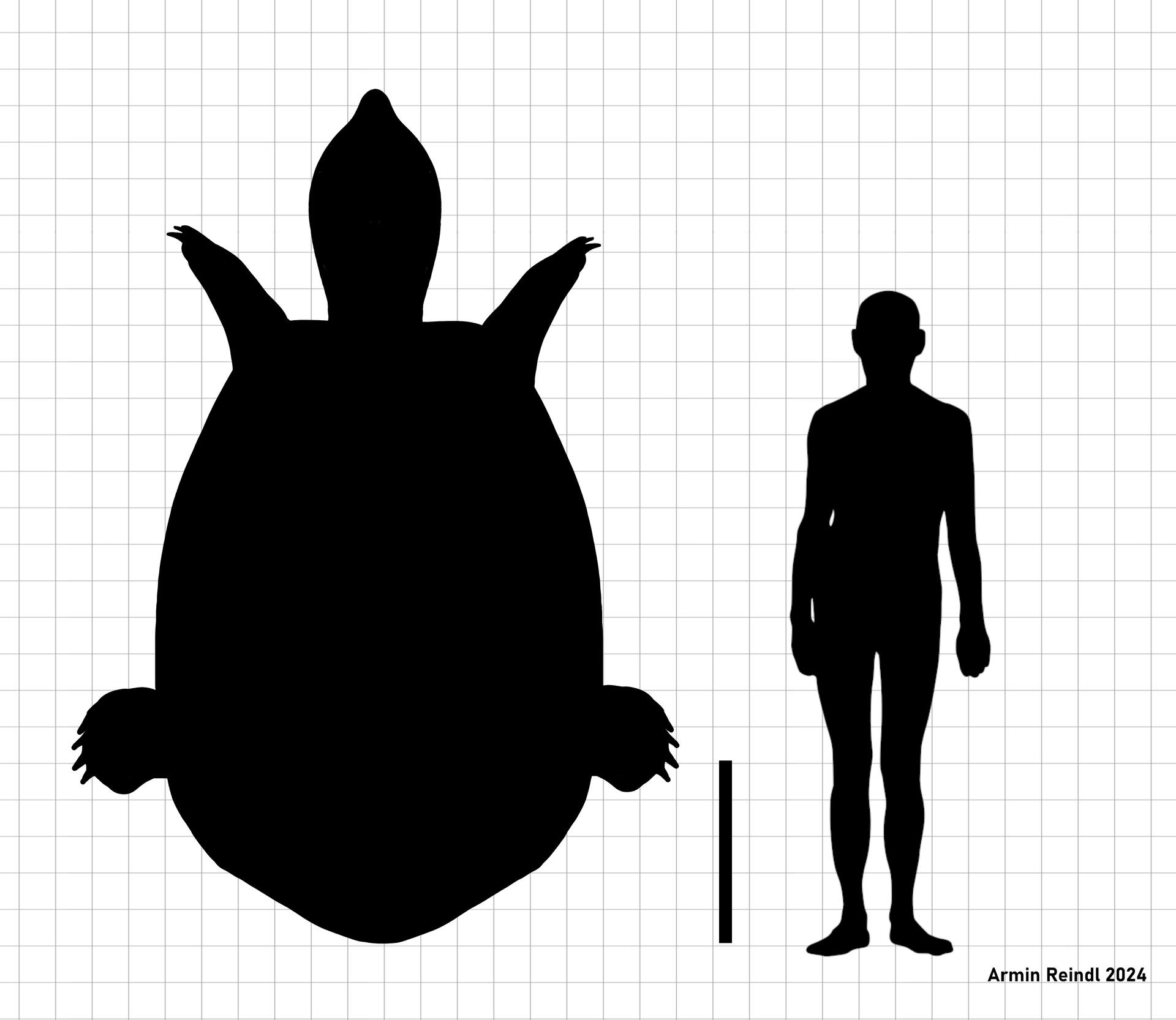 Peltocephalus maturin based on fossil material and modern Pelto…