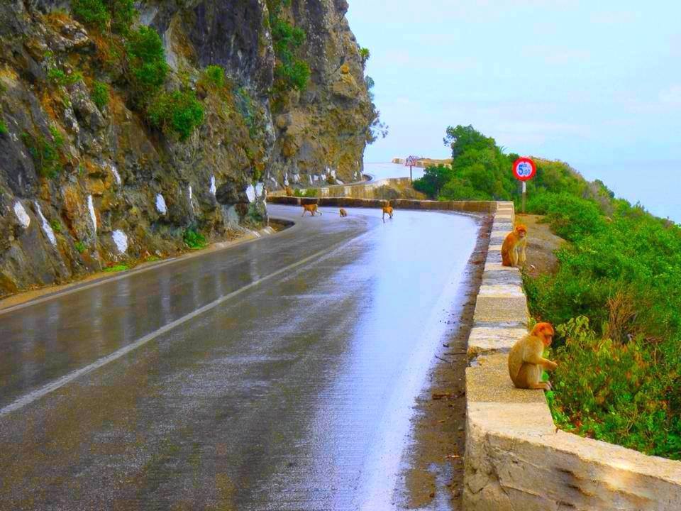 La nature de Jijel