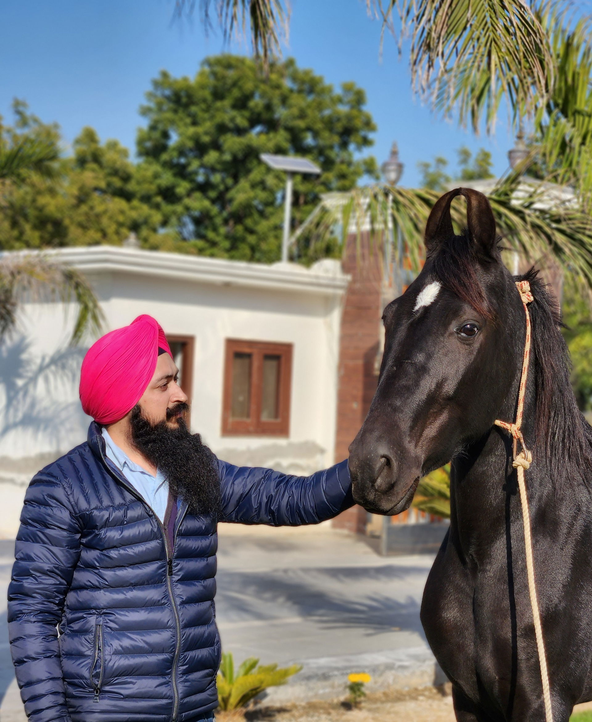 Beautiful pic clicked of Marwari breed Mare with her owner Pard…