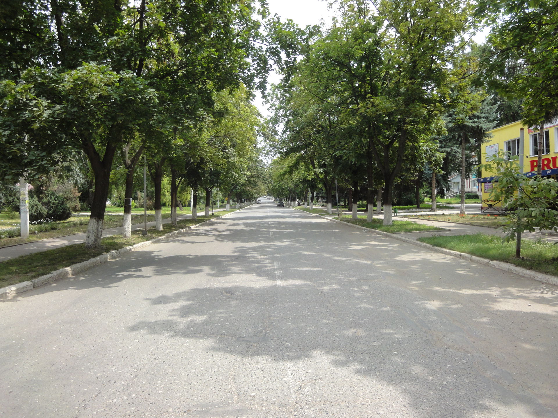 Leova, Moldova, Independence street.