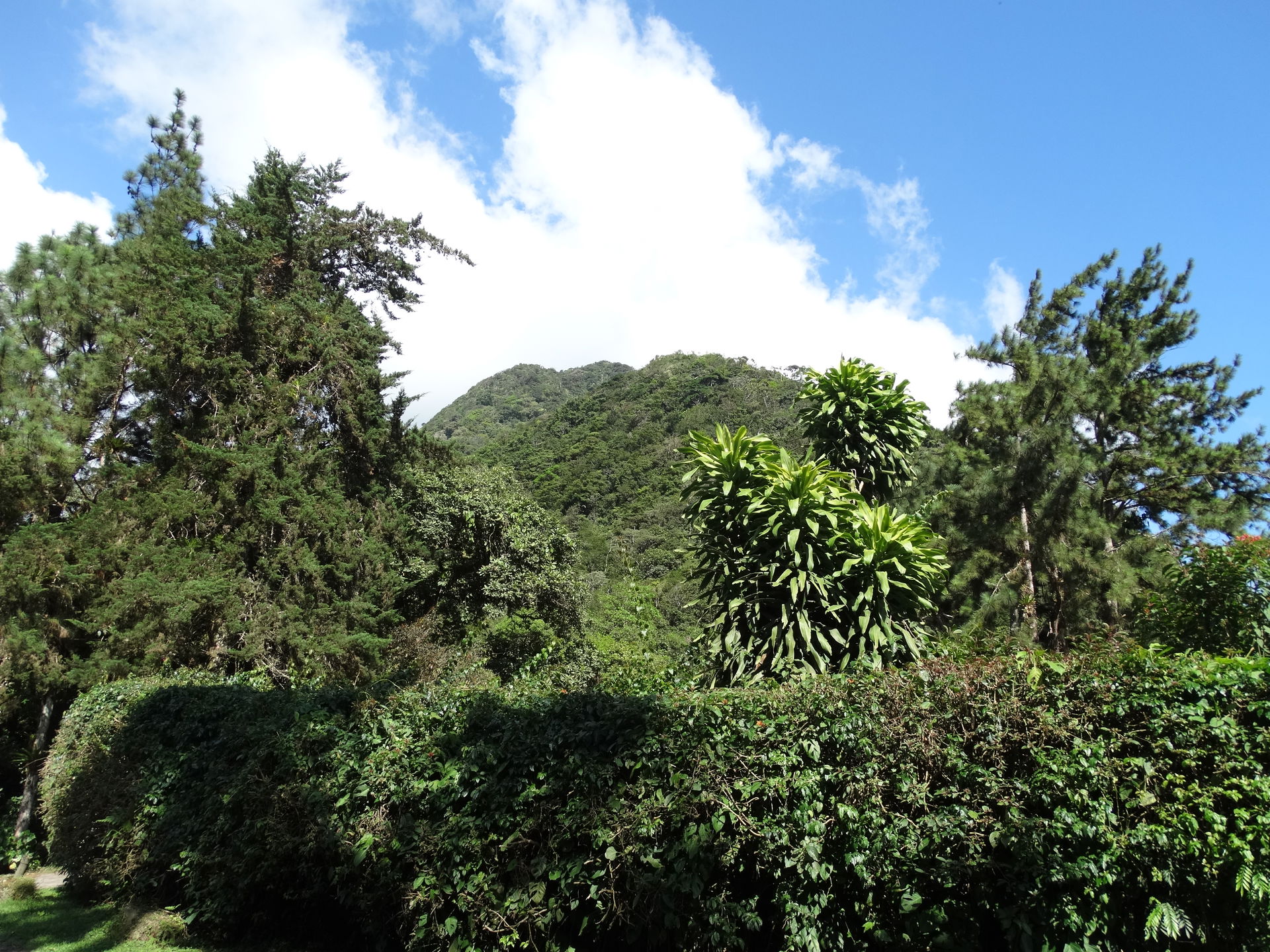 Scenery in El Valle de Anton - Cocle Province - Panama.