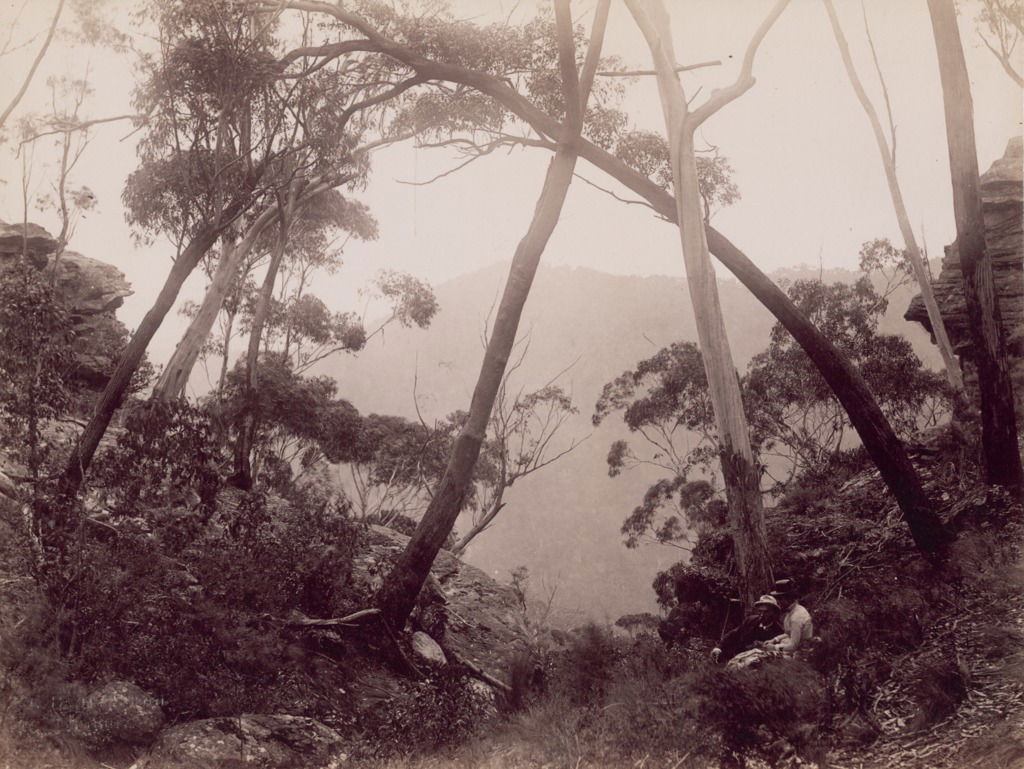 Bayliss, Charles, 1850-1897.
Part of collection: Collection of …