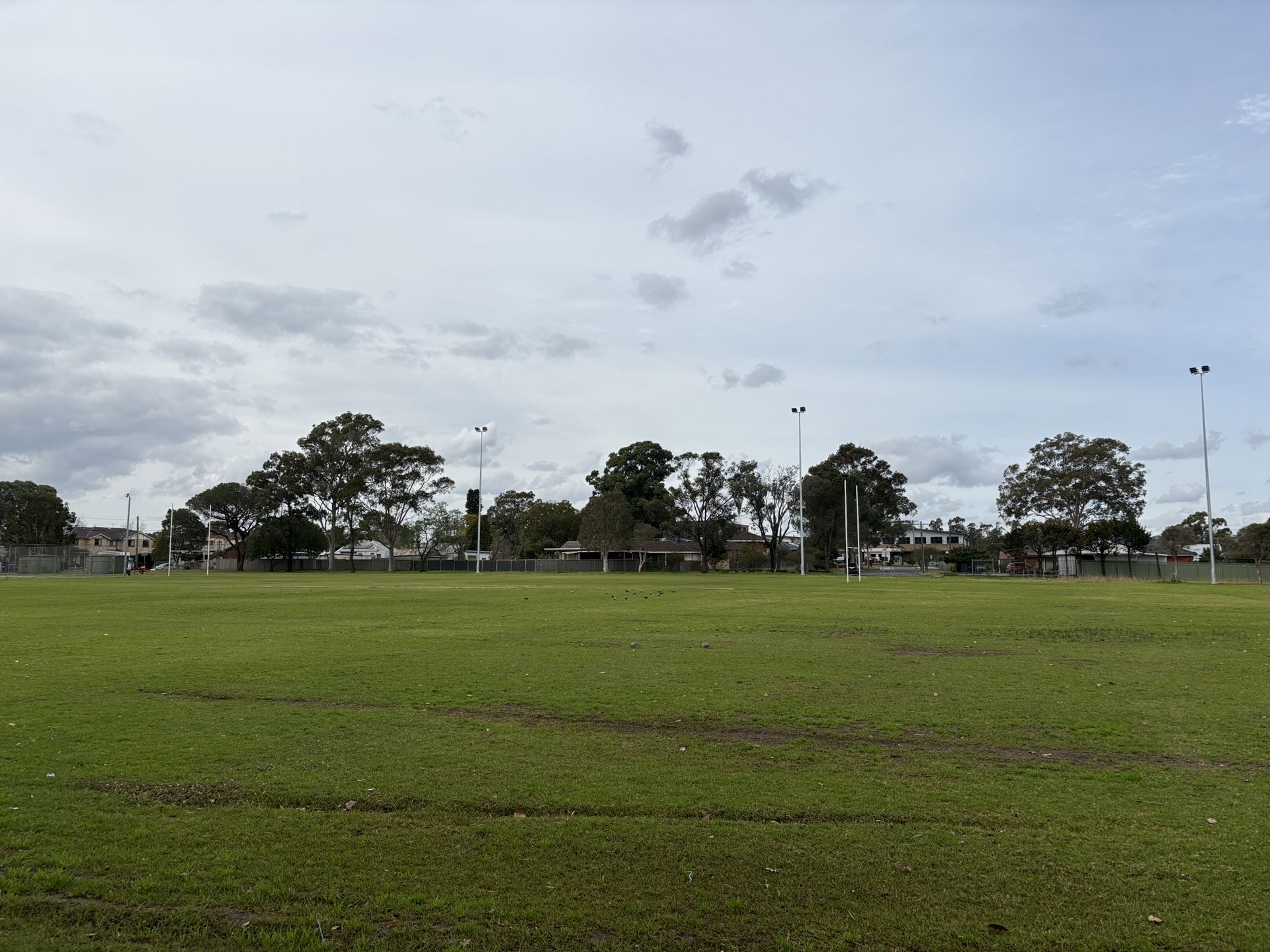 The oval at Mount Druitt Park