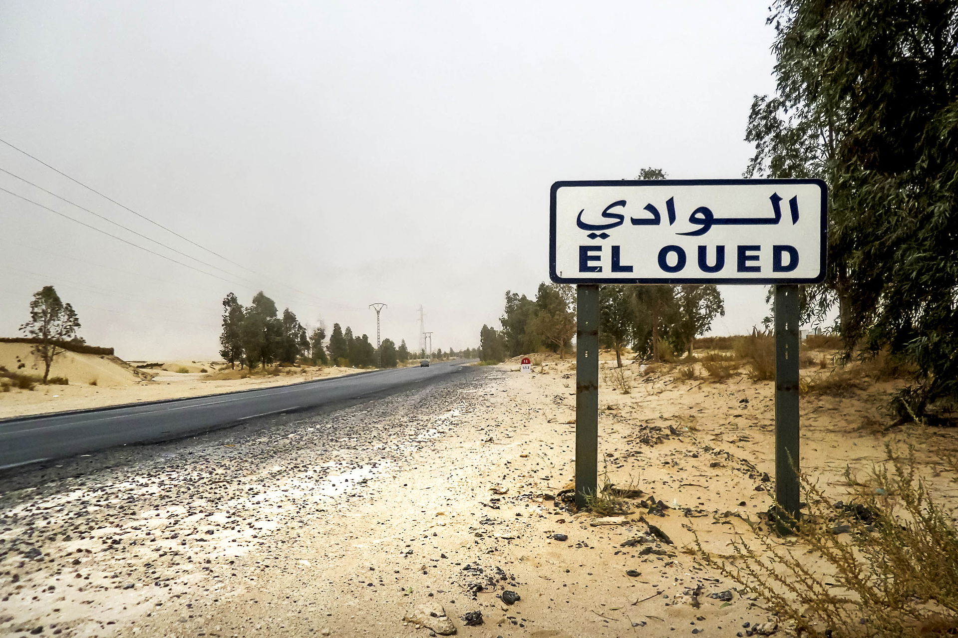 Oued Souf واد سوف
Wilaya d'El Oued ولاية الوادي