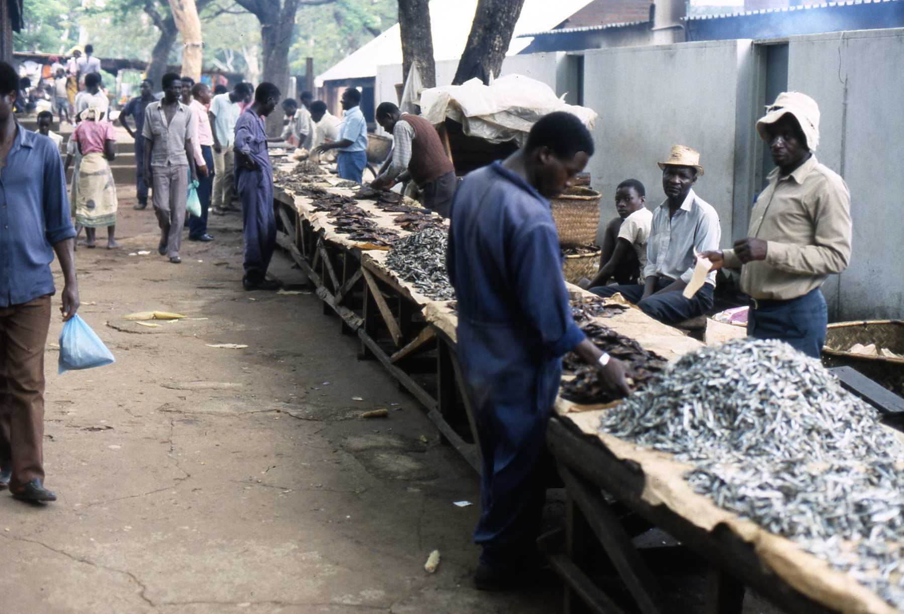 A market can be found in Zomba town centre, where farmers from …