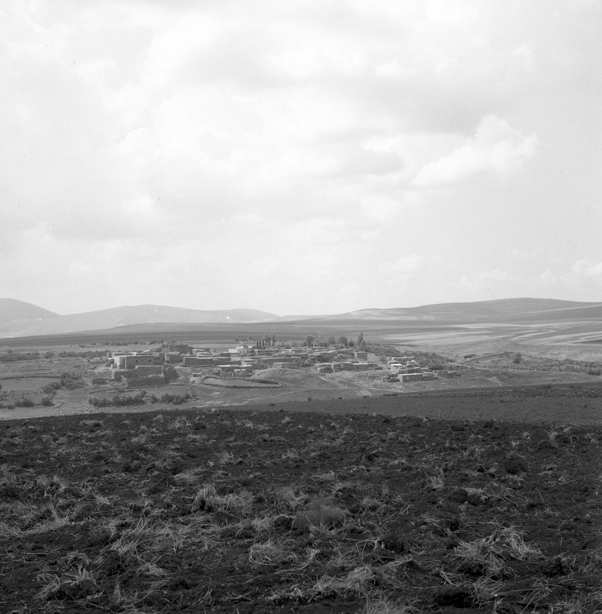 Tayiba (Israel) PhotographsLandscape Israel