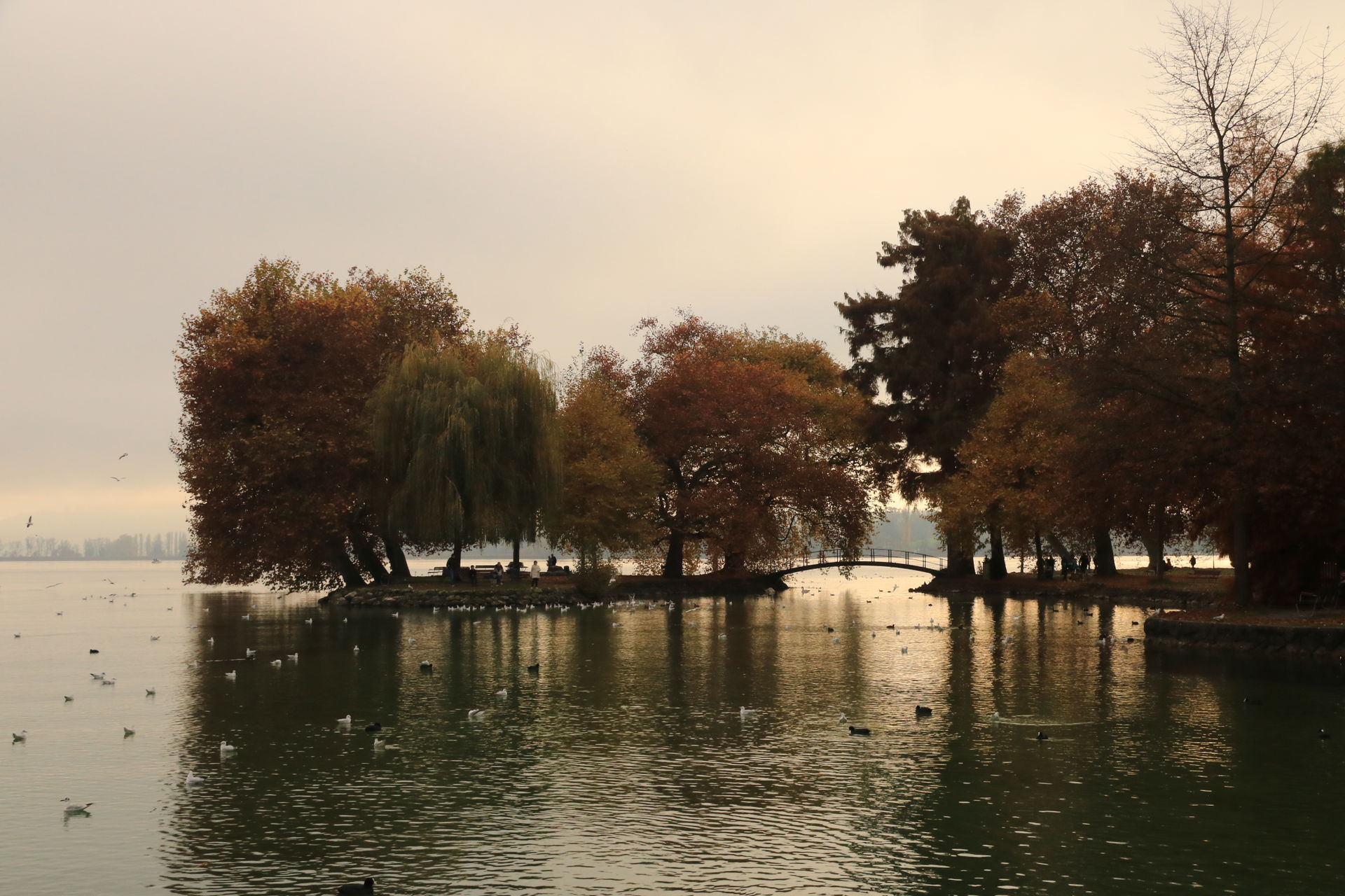Chamer Vilettepark im Herbstbild