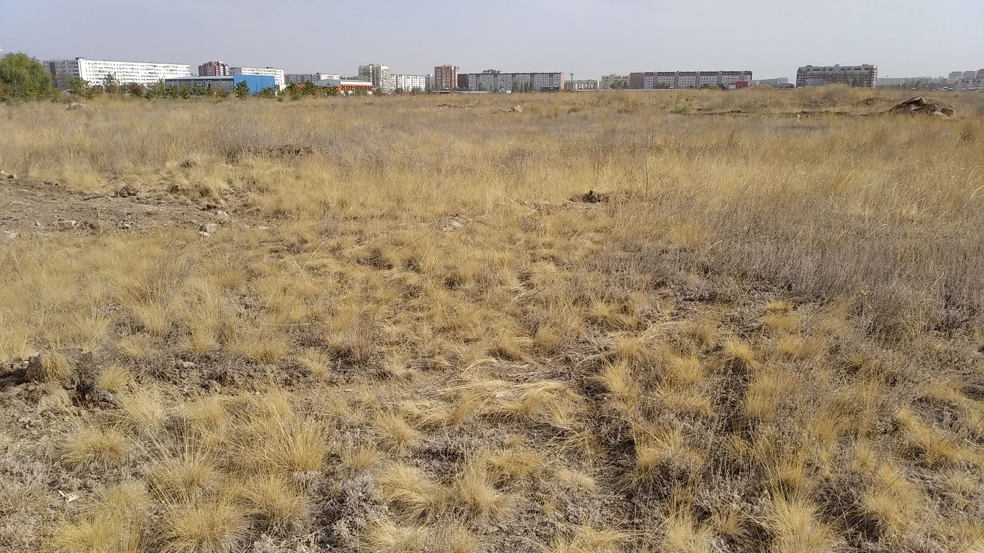 Не занятая какими-либо зданиями территория в 28 микрорайоне гор…