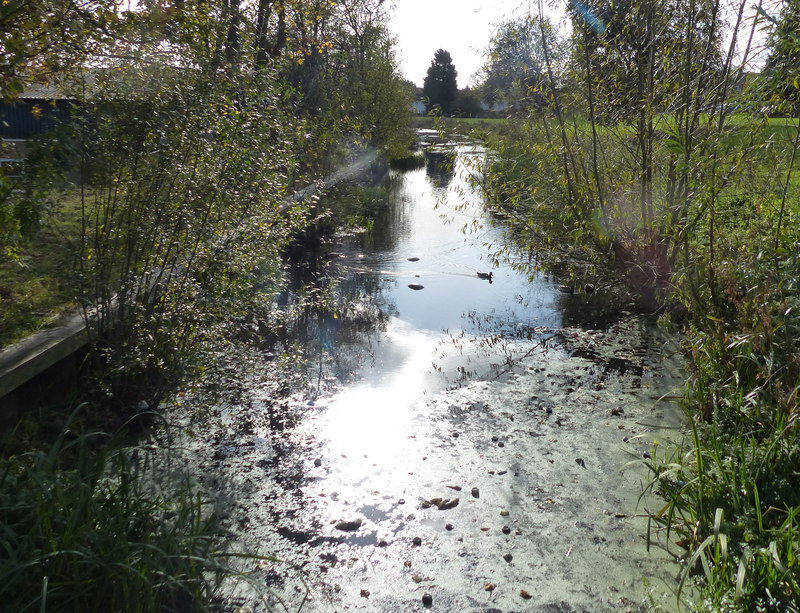 Grantham Canal in Grantham