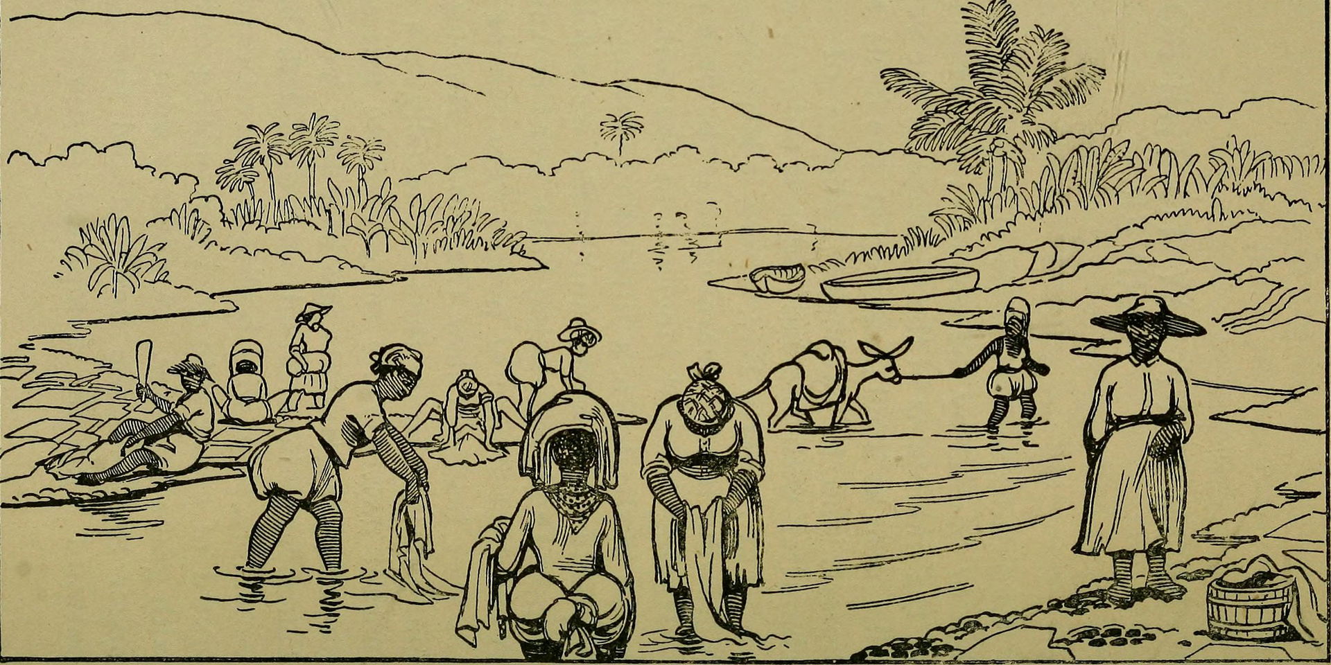Identifier: newjamaicadescri00baco (find matches)
Title: The ne…