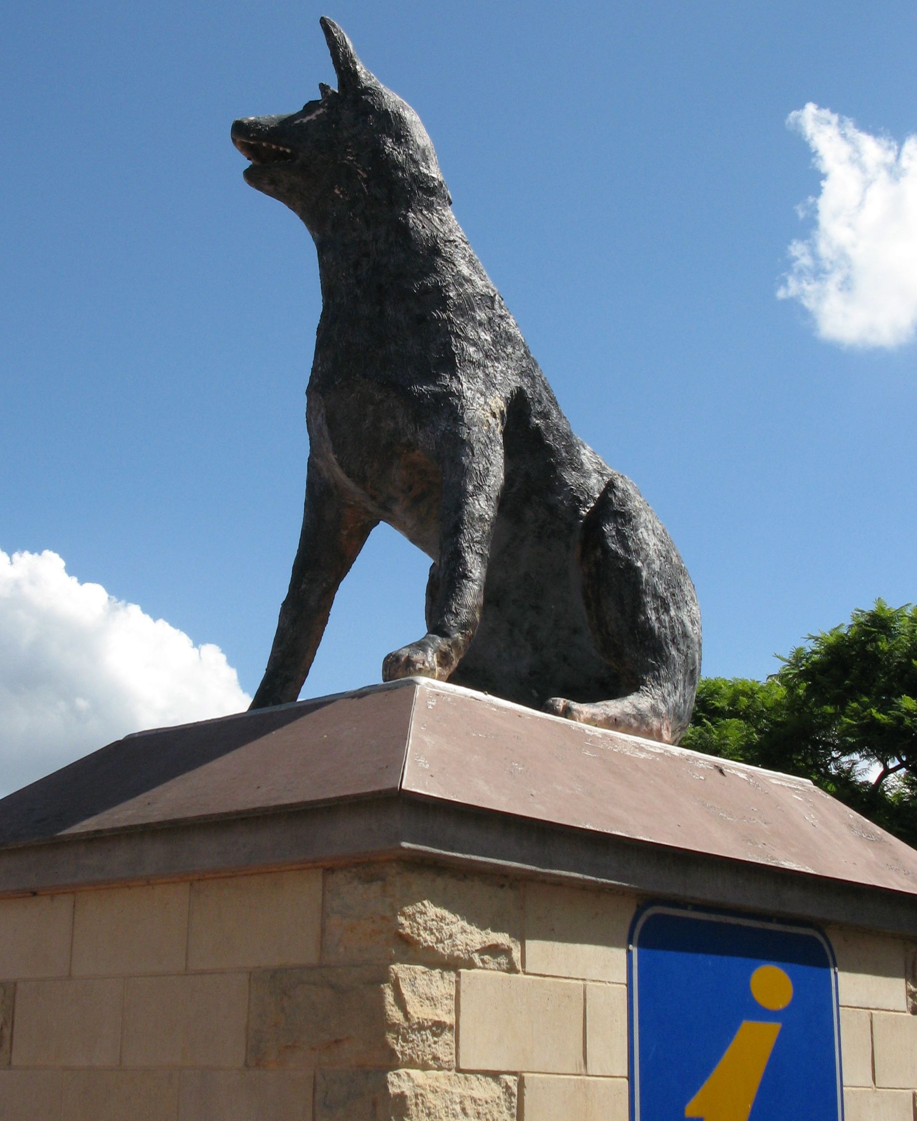 The Big Blue Heeler, MuswellBrook, NSW