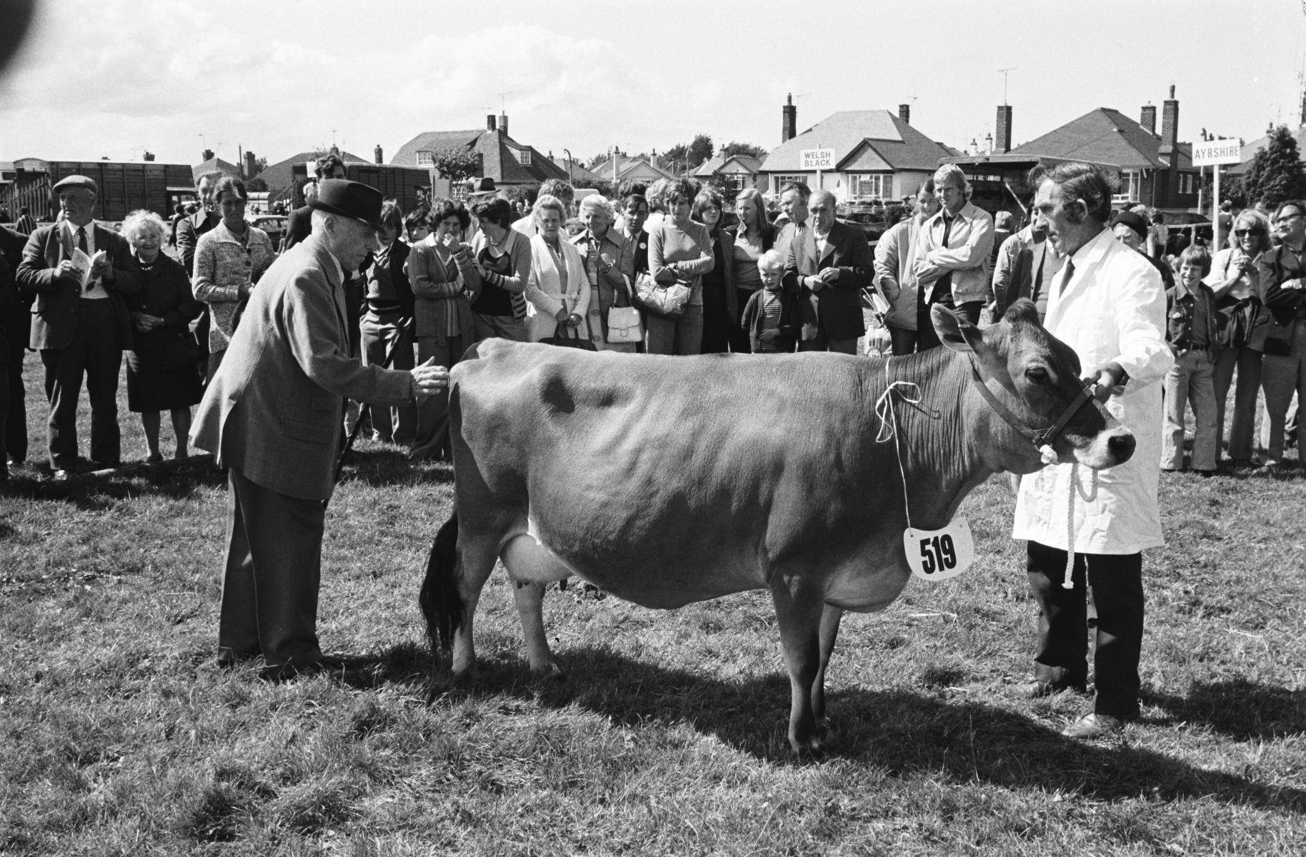 Denbighshire and Flintshire Show at Rhyl, 1975