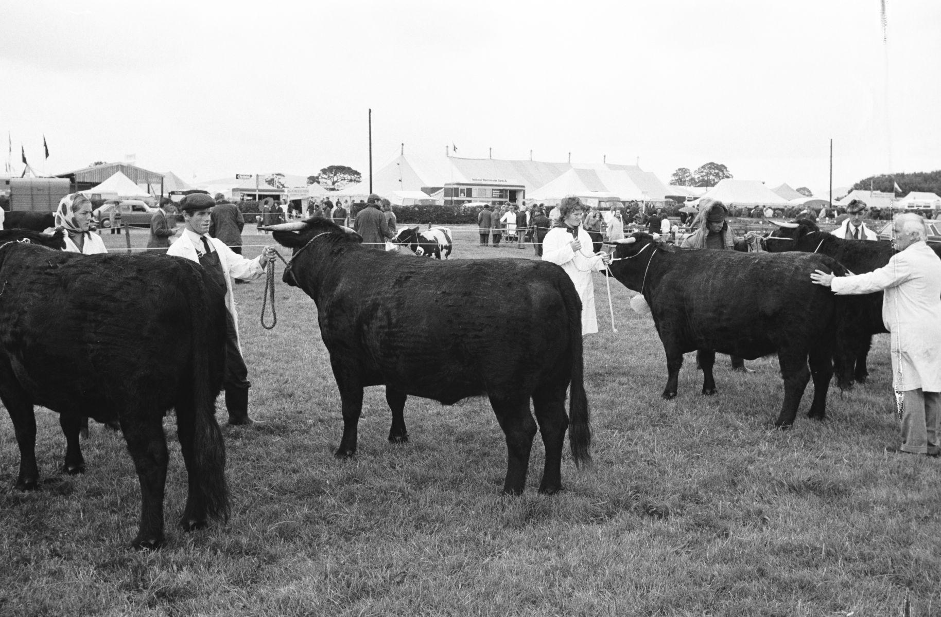 Denbighshire and Flintshire Show at Rhyl, 1975