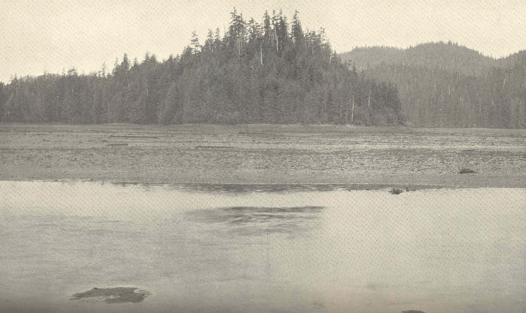 Stream at Thorne Bay
Subject: Rivers--Alaska, Thorne Bay (Alask…