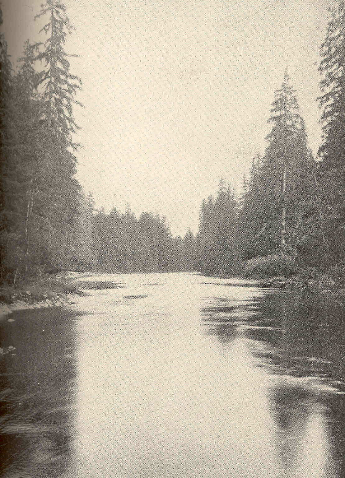 Head of Tidewater Stream at Thorne Bay
Subject: Rivers--Alaska,…