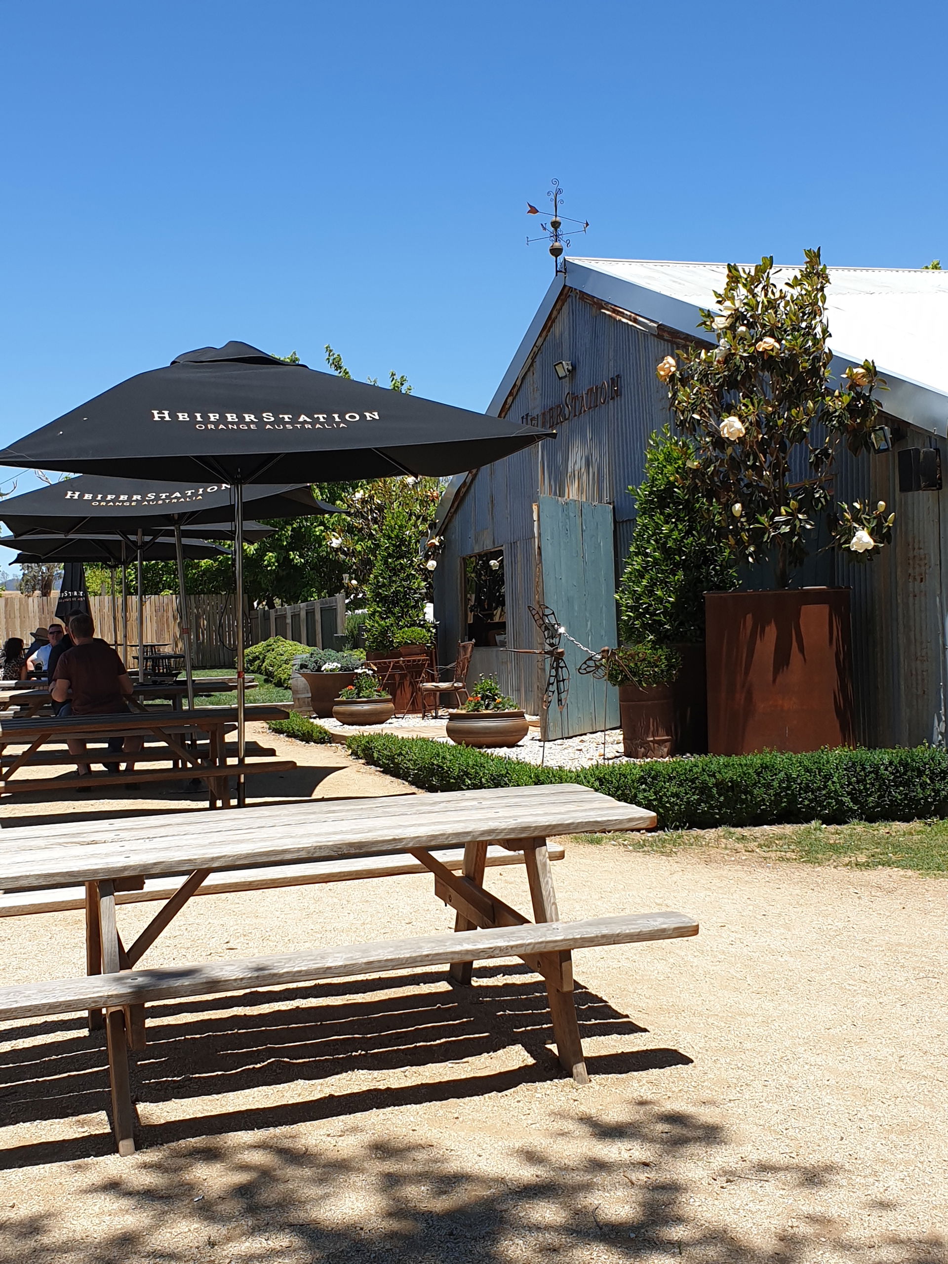 Heifer Station winery's cellar door, Orange, New South Wales, A…
