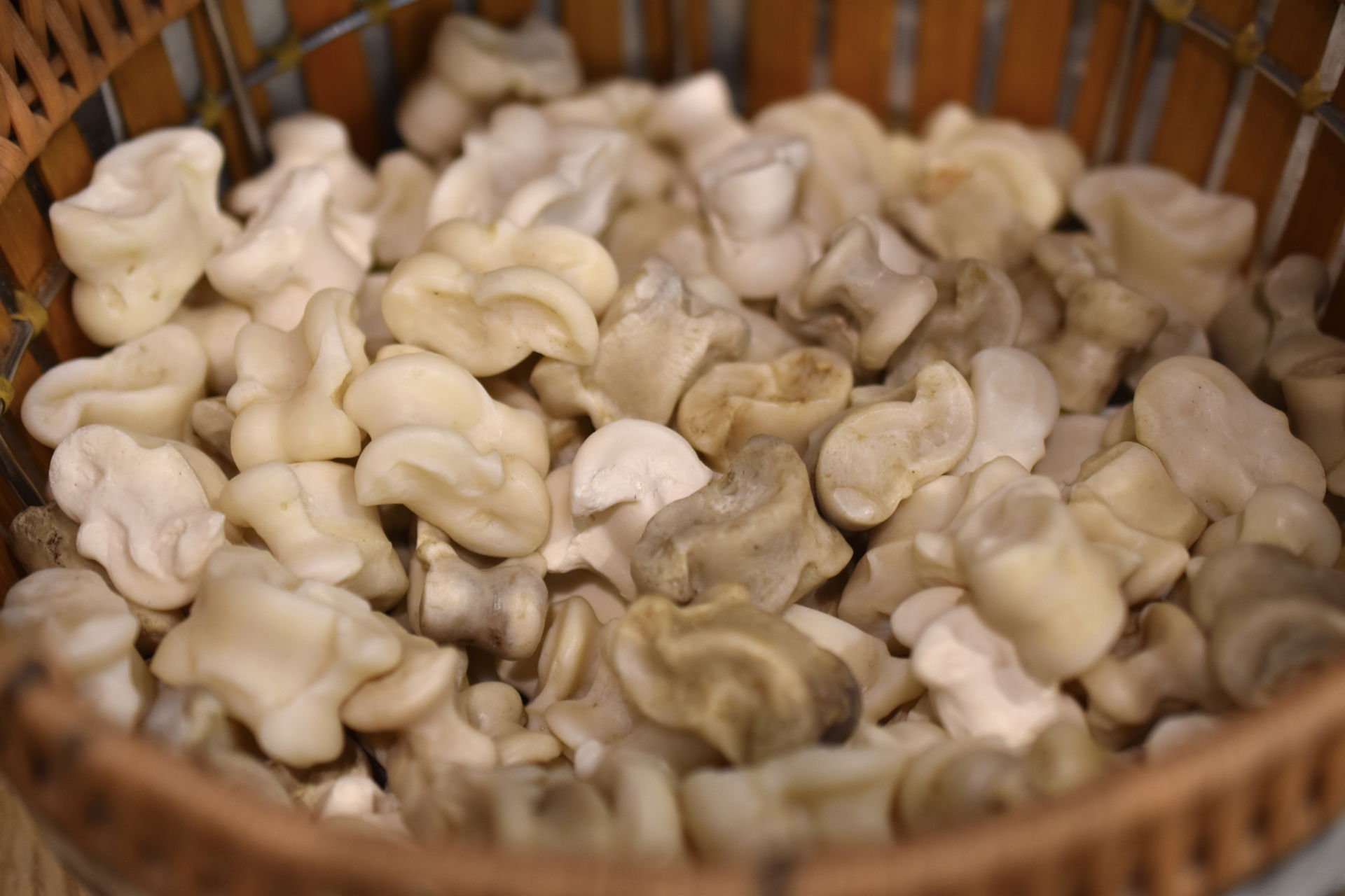 A basket full of shagai (knucklebones) at a gift shop at Chingg…