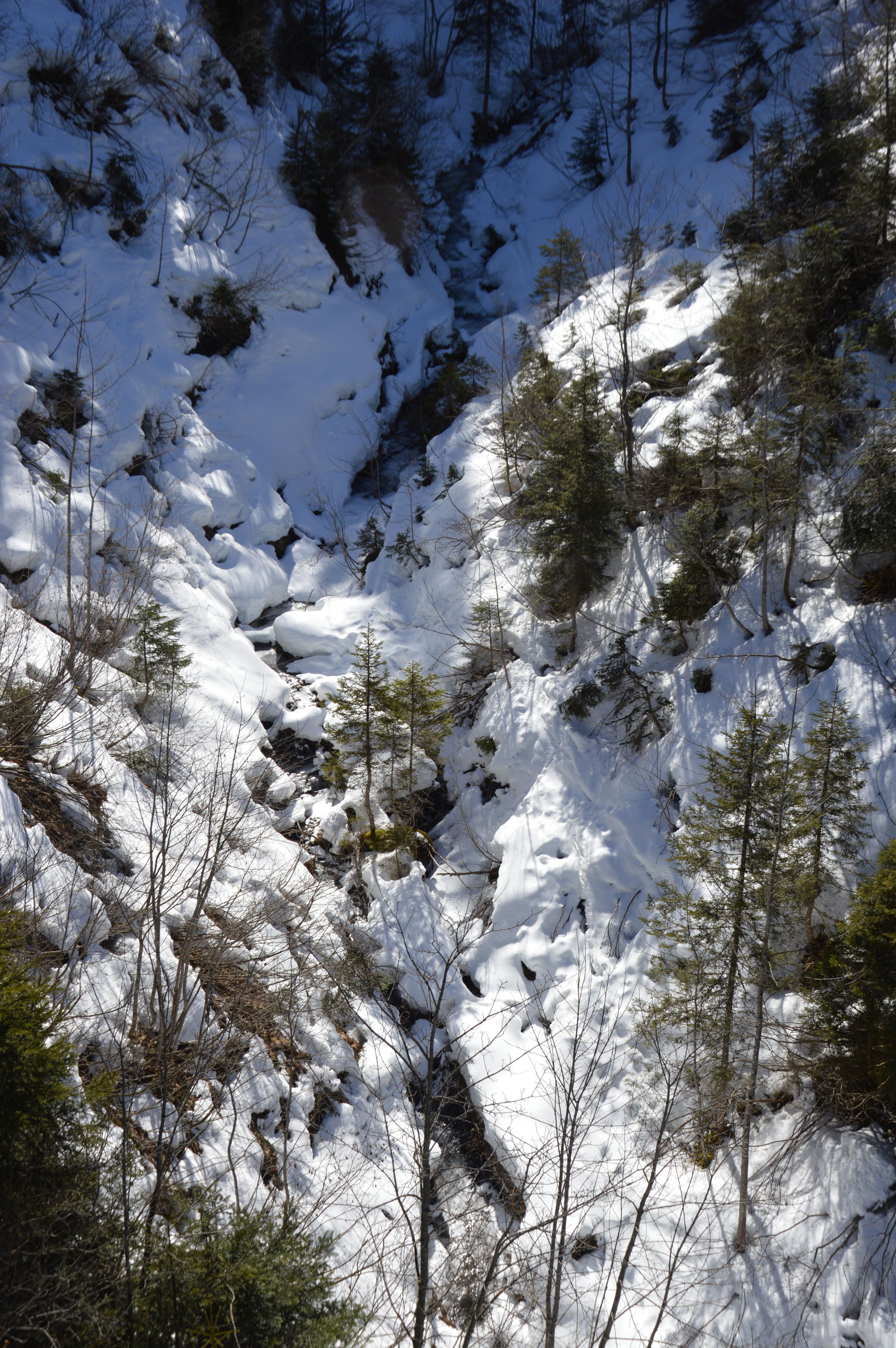 Torrent de Porrez seen from TSF du Jouty, Sallanches, 2025