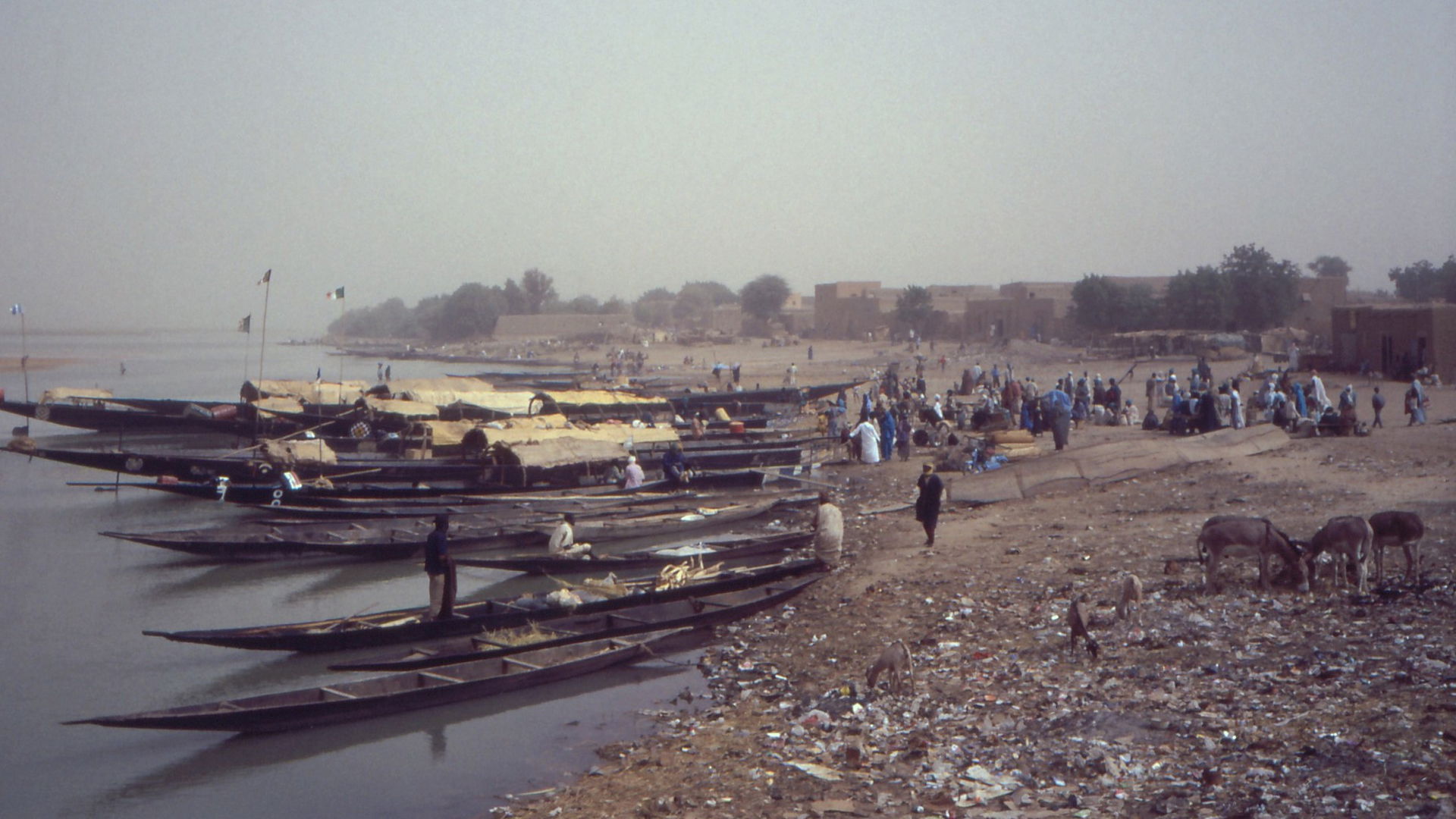 Pirogues on the banks of the Niger river at Gao, Mali (1990)