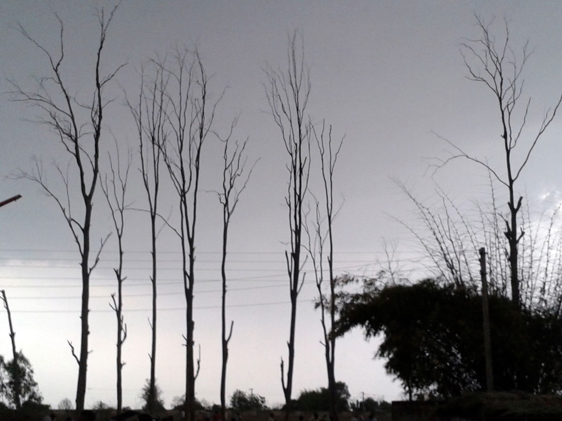 EVENING IN AMBIKAPUR