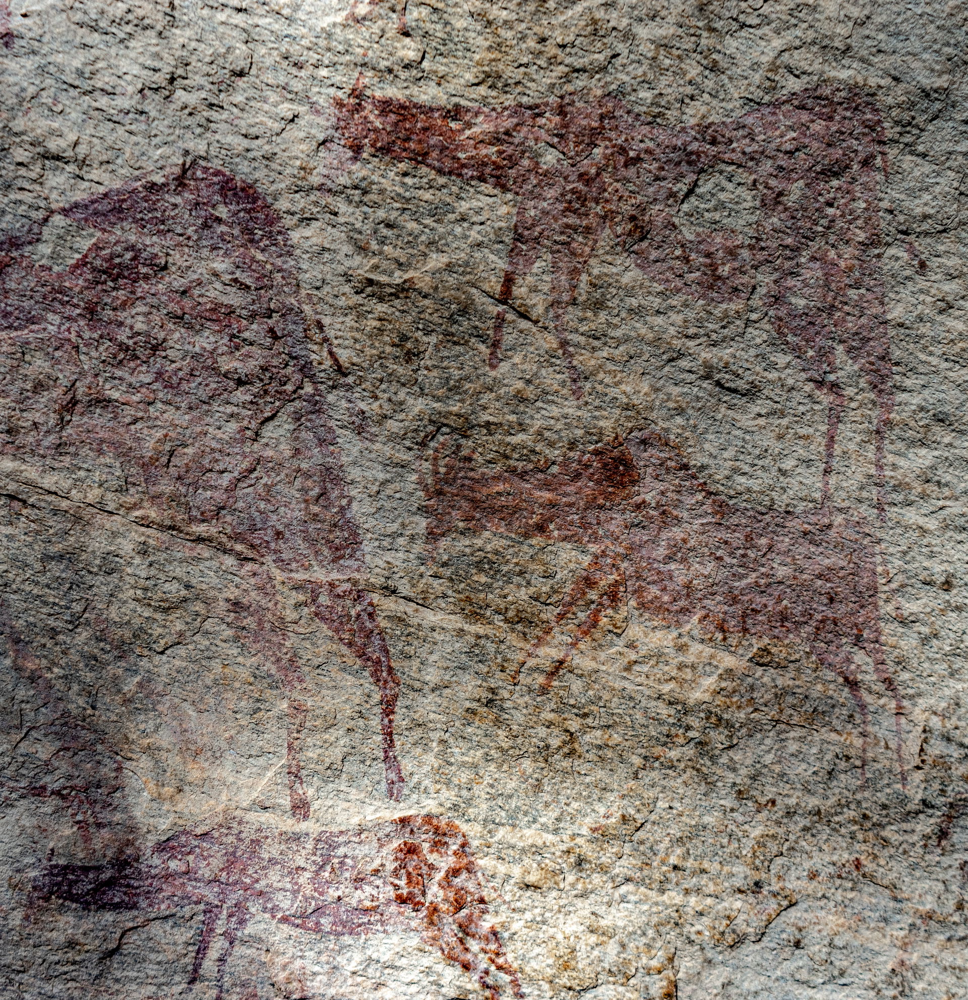 Rock art in Kondoa
UNESCO World Heritage Site