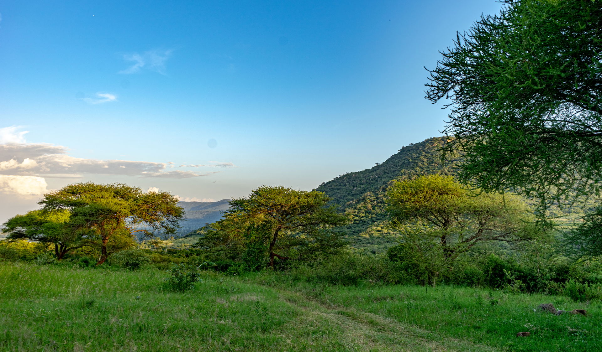 Tanzania