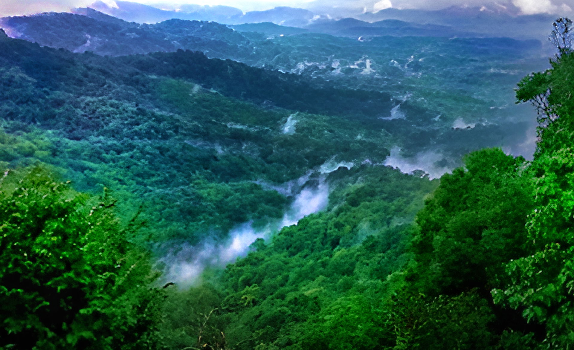 Sirsi devimane