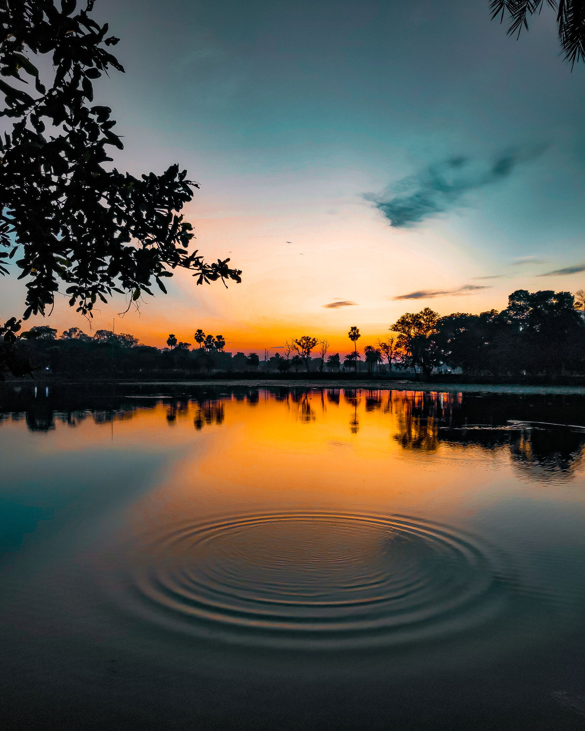 Reminiscence: our favourite spot by the lakeside was being clea…