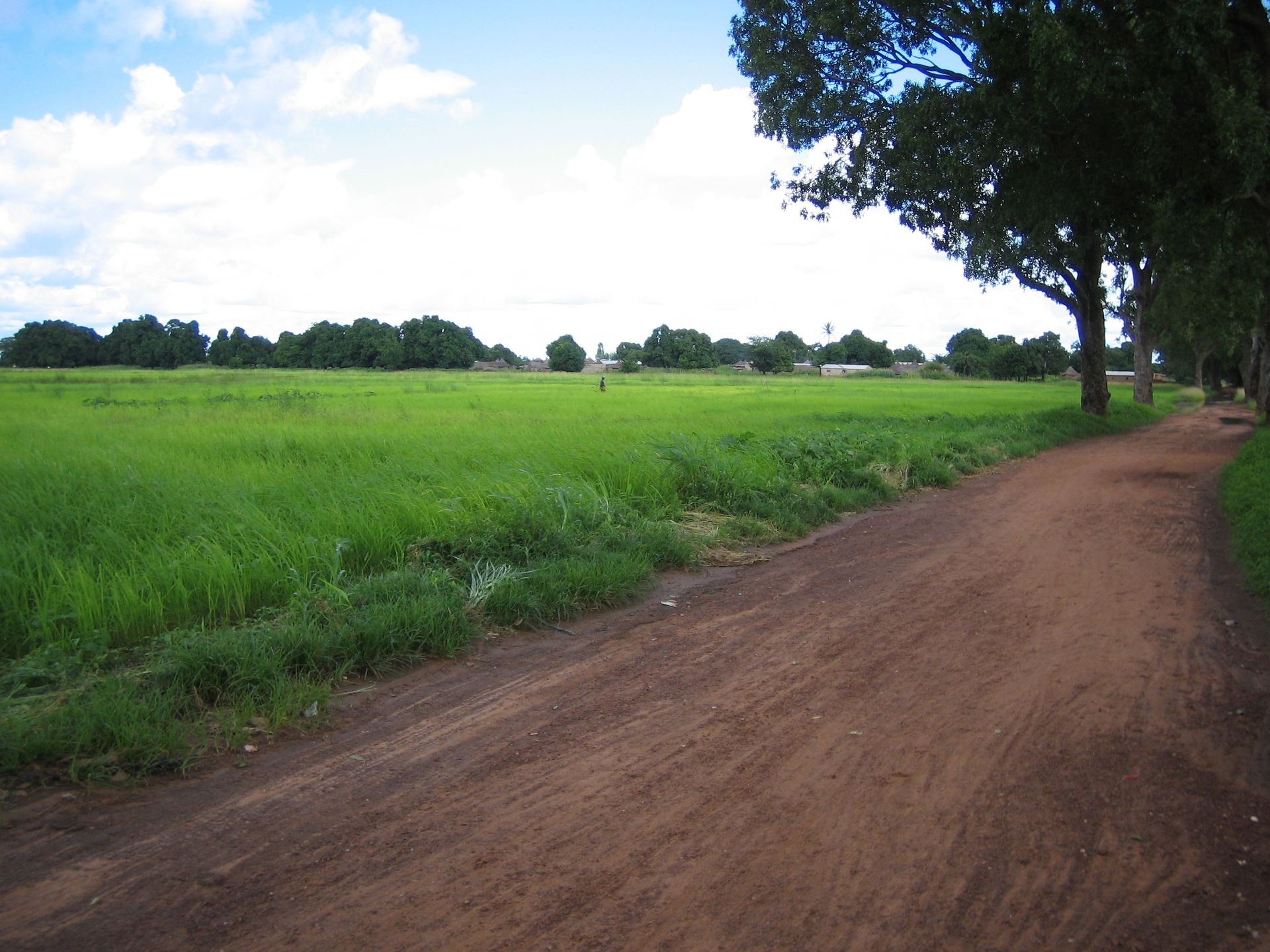 Road in Kangaba, Mali.