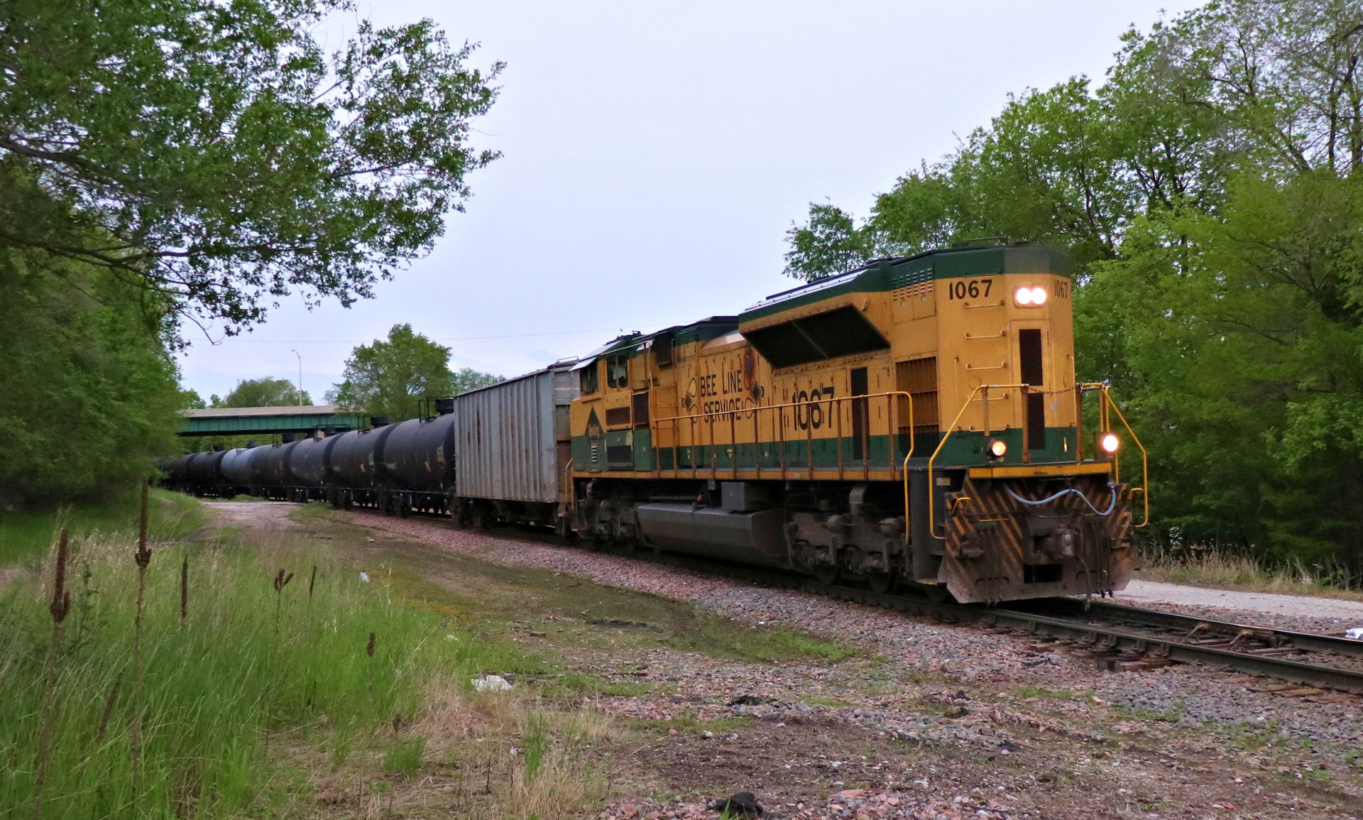 Norfolk Southern 1067(SD70ACe) Reading Lines Heritage Unit lead…