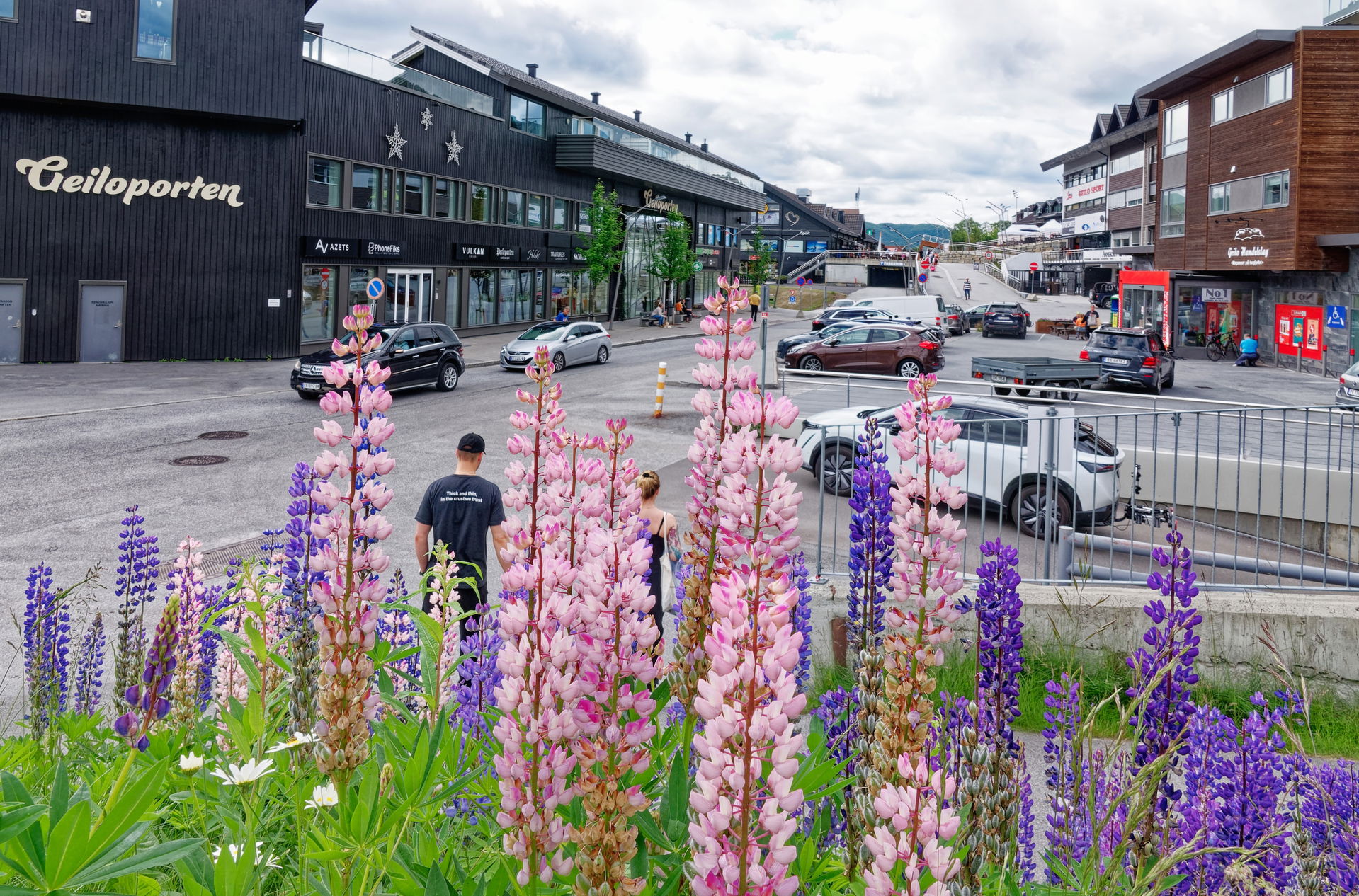 The resort of Geilo.