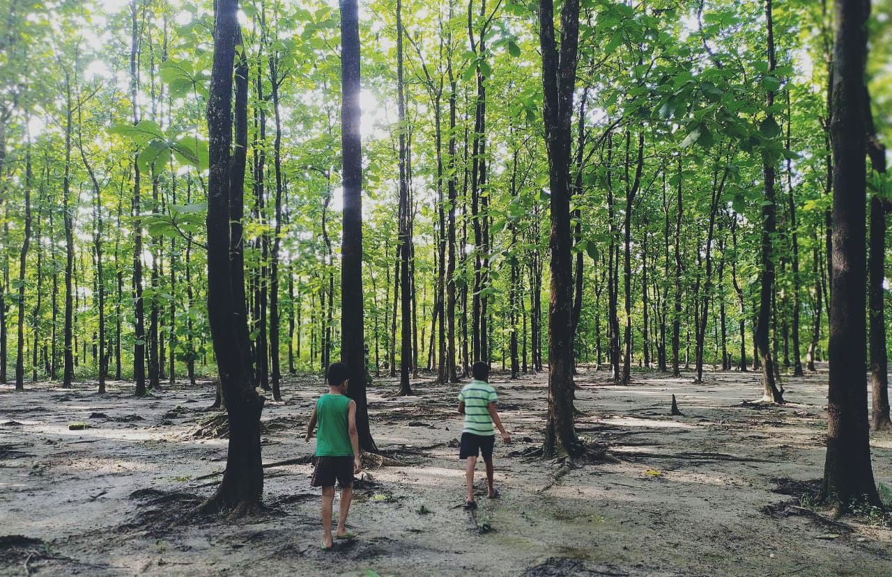 Methun Sapori, A Tourist Places in Lakhimpur, Assam