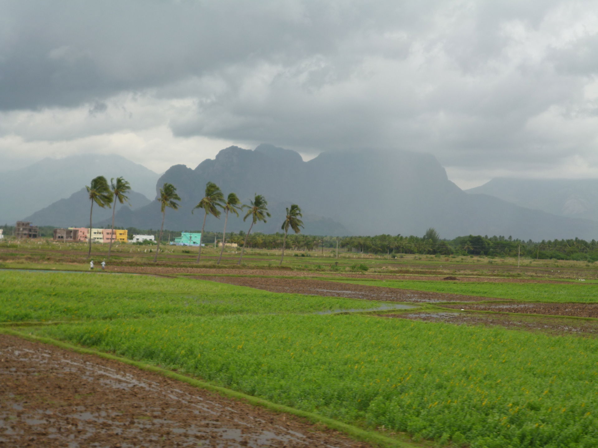 Nagercoil, Tamil Nadu, India